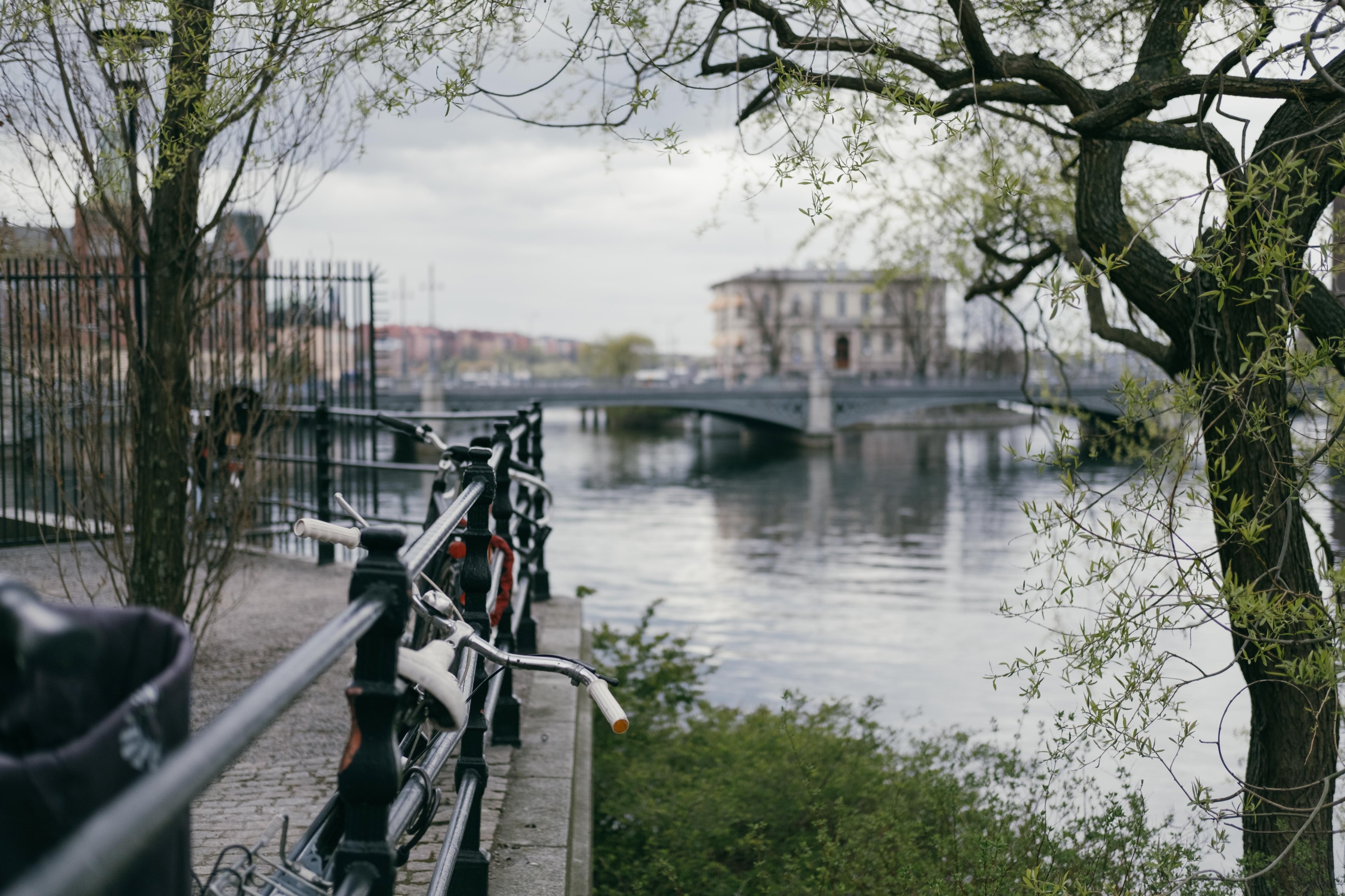 city rail riverside and tree 4k, HD Wallpaper