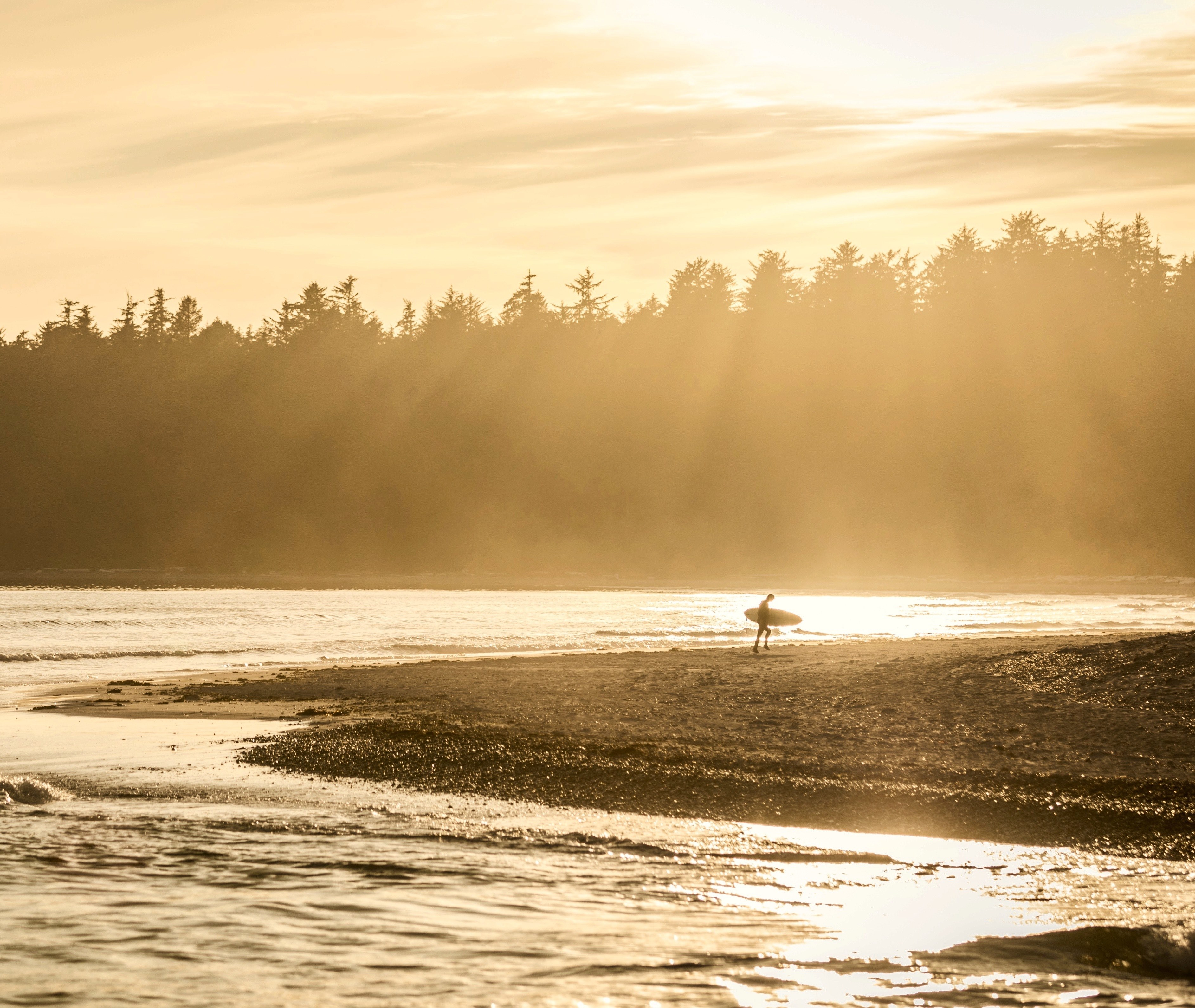 surfer carrying surfboard walking on the beach by the forest at promontory chilliwack british columbia canada, surfer on the beach 4k, HD Wallpaper