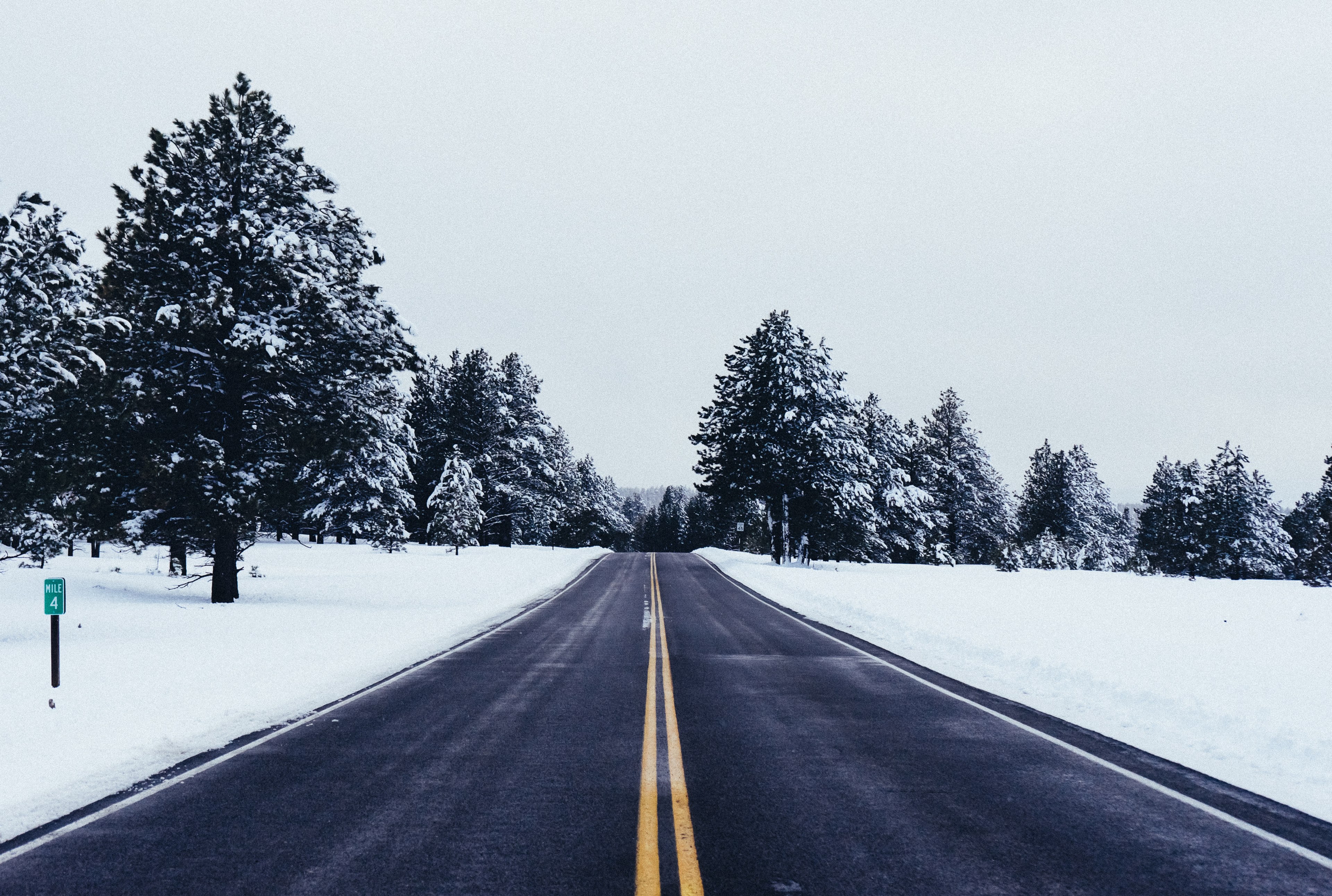 a look down a clean asphalt road surrounded by fields and trees covered in snow, winter snowfall near a forest 4k, HD Wallpaper
