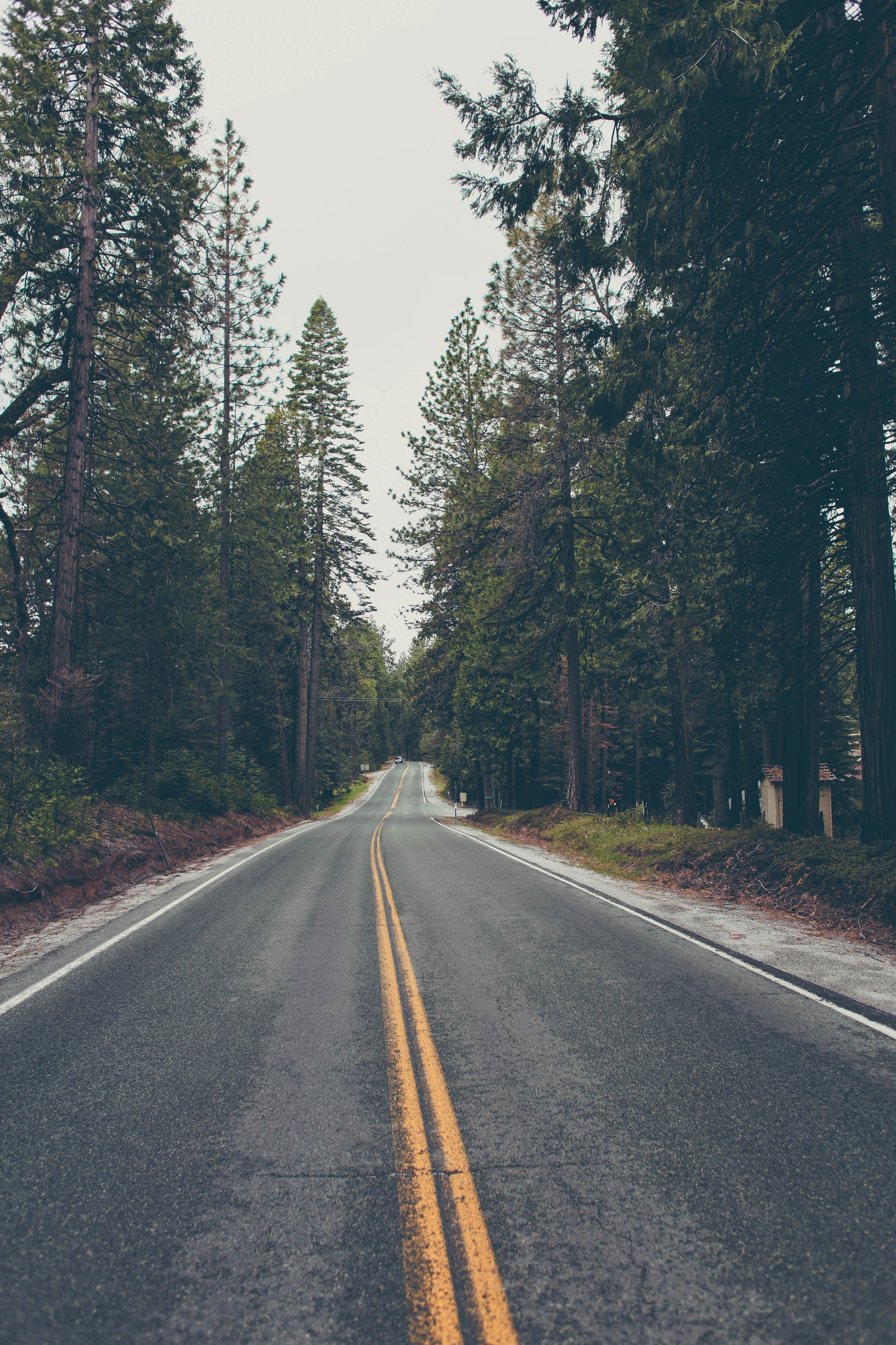 south lake tahoe road 4k, Phone HD Wallpaper