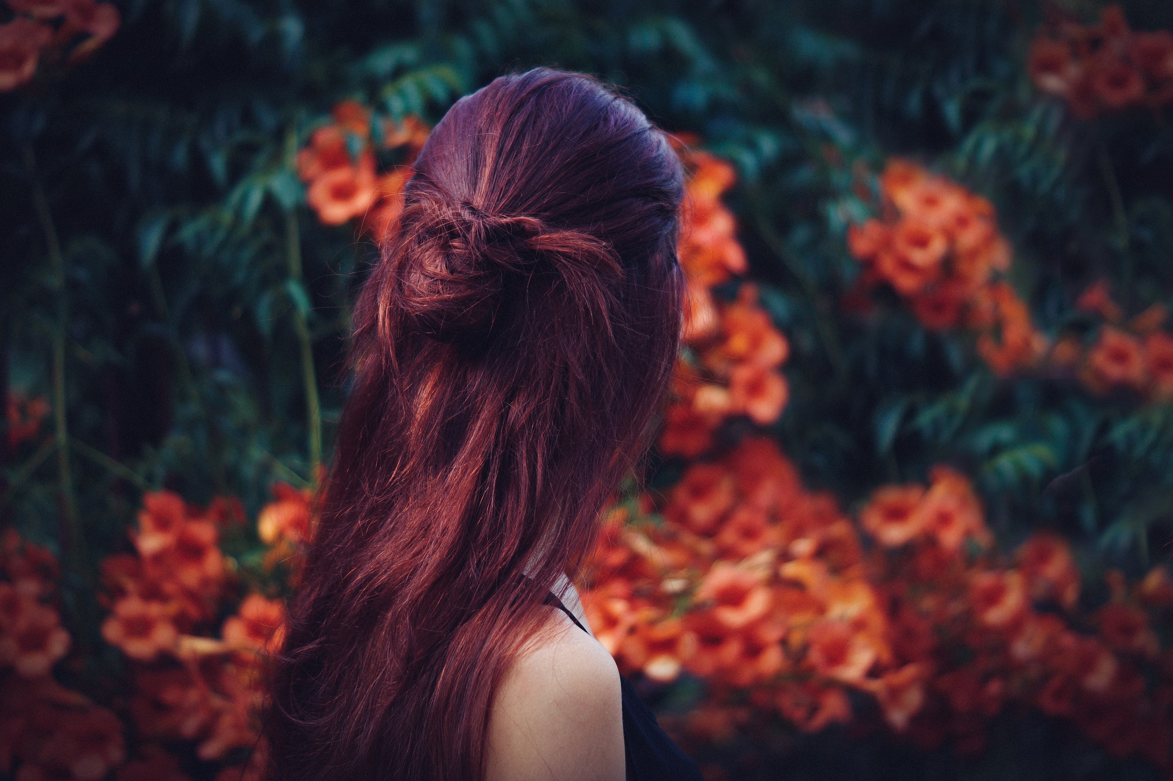 the back of the head of a dark haired woman in a garden full of red flowers, woman strolling in a beautiful garden 4k, HD Wallpaper