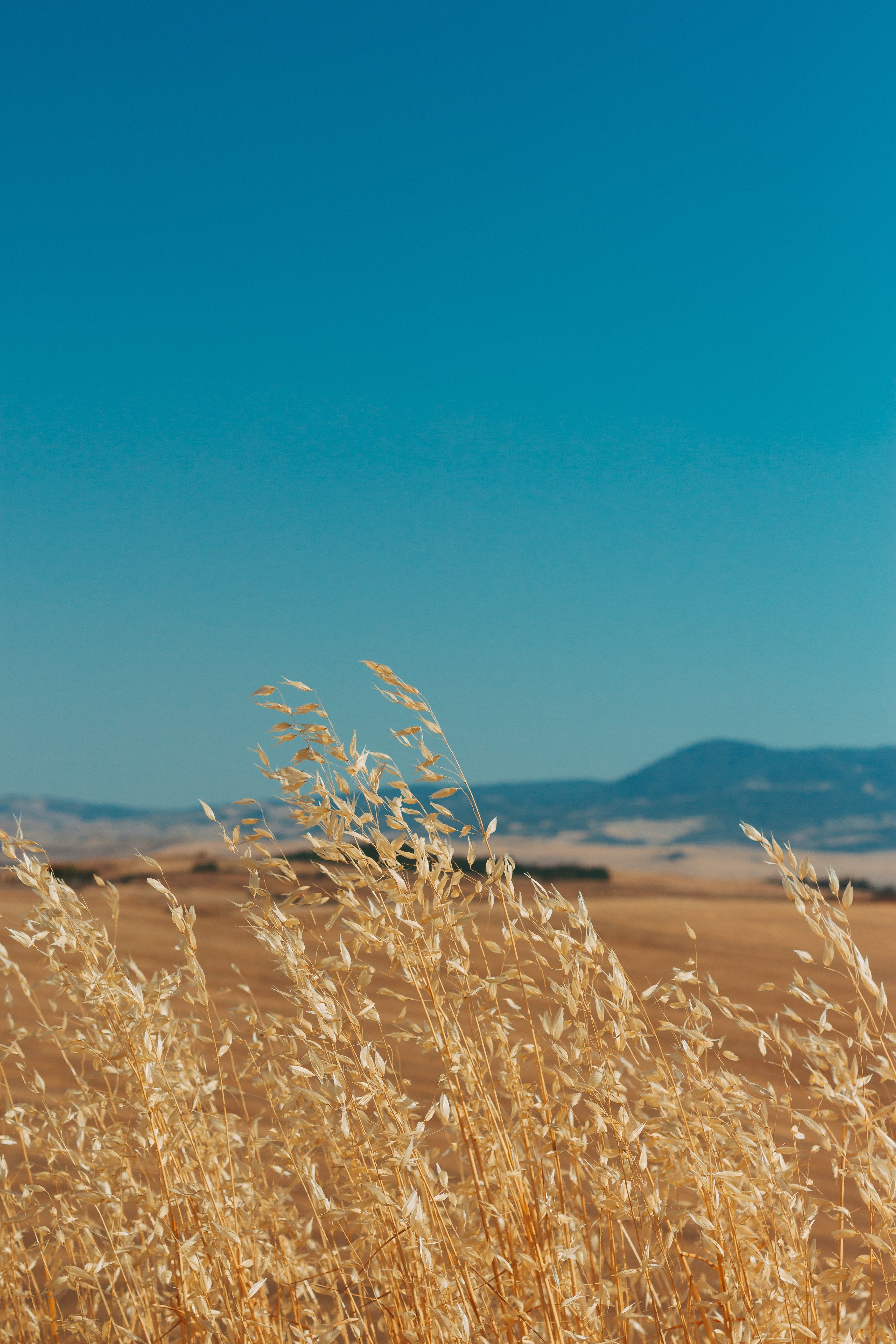 val dorcia 4k, Phone HD Wallpaper