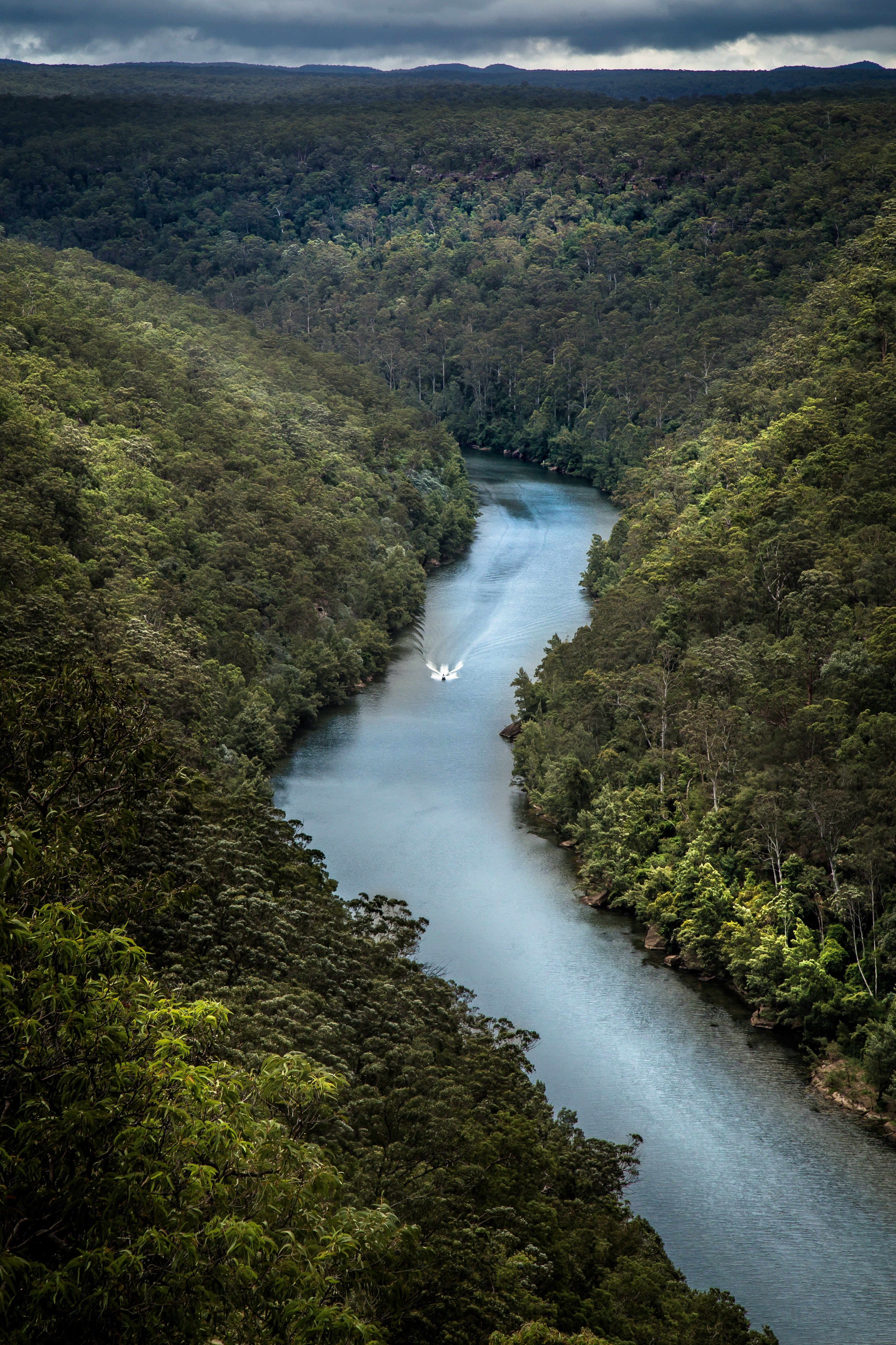 a boat on a river surrounded by a lush forest on a cloudy day, boat between lush river banks 4k, Phone HD Wallpaper