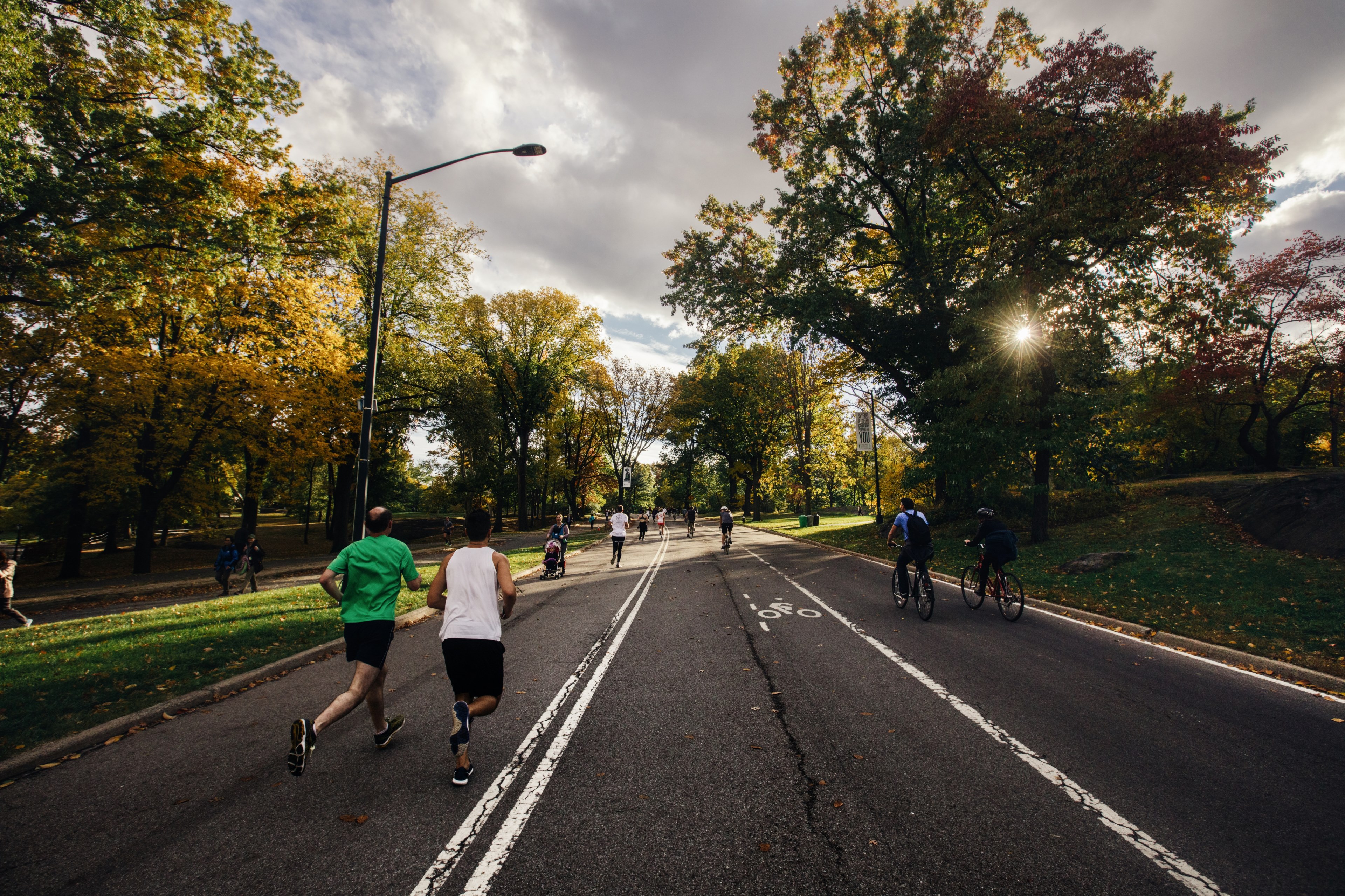two men running down the road at central park, running at central park 4k, HD Wallpaper