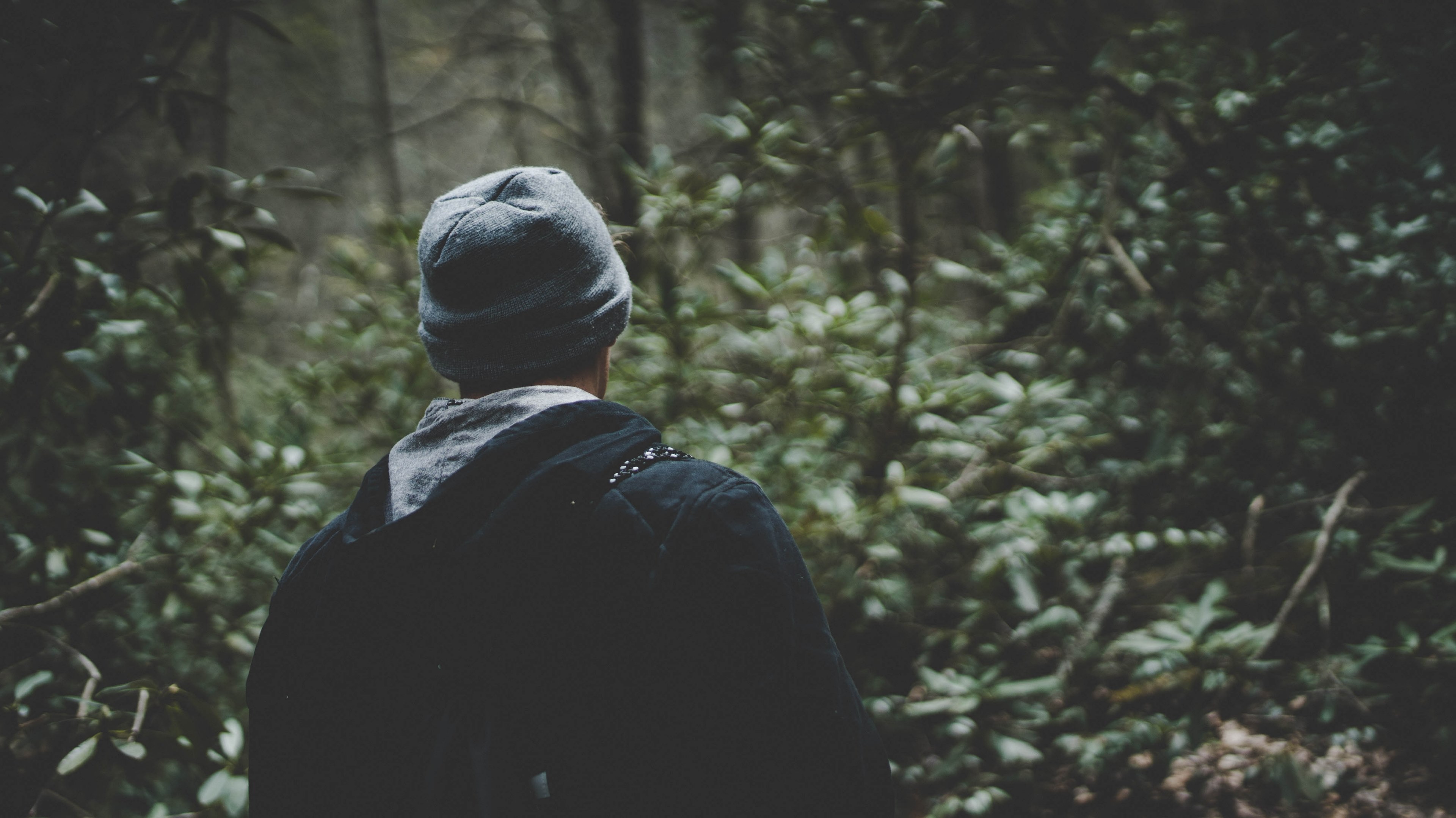 a man in a beanie walking through dense green thicket in south mountain park, adventure 4k, HD Wallpaper
