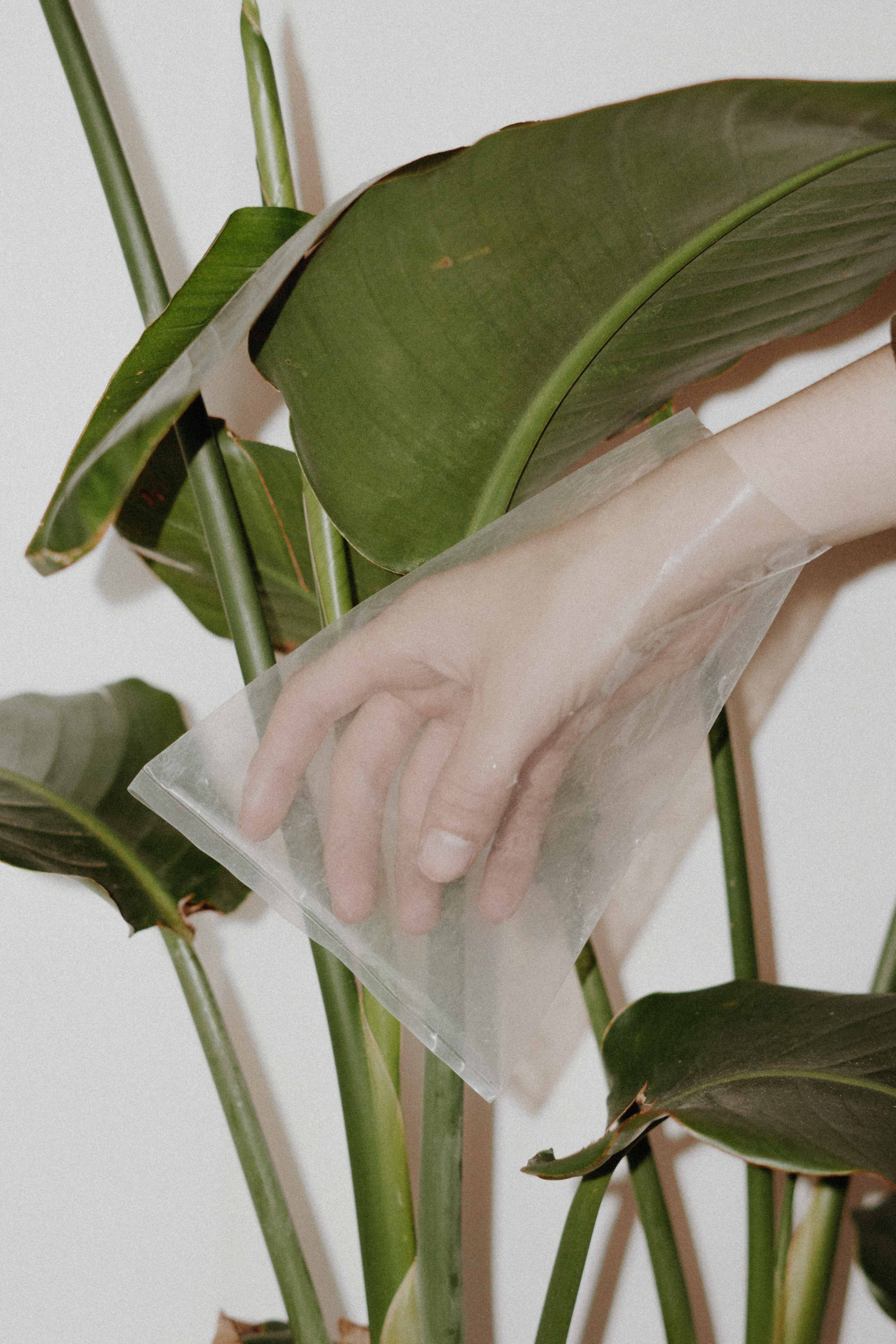 leaf plant hand and plastic hd, 4k, Phone HD Wallpaper