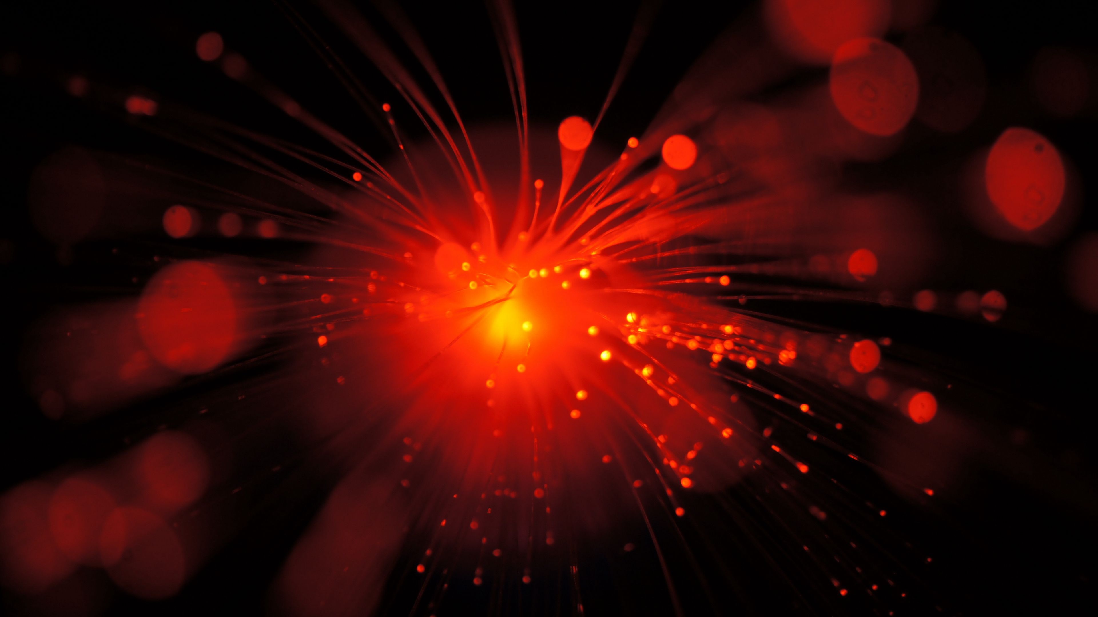 abstraction, lines, glitter, 4k, HD Wallpaper