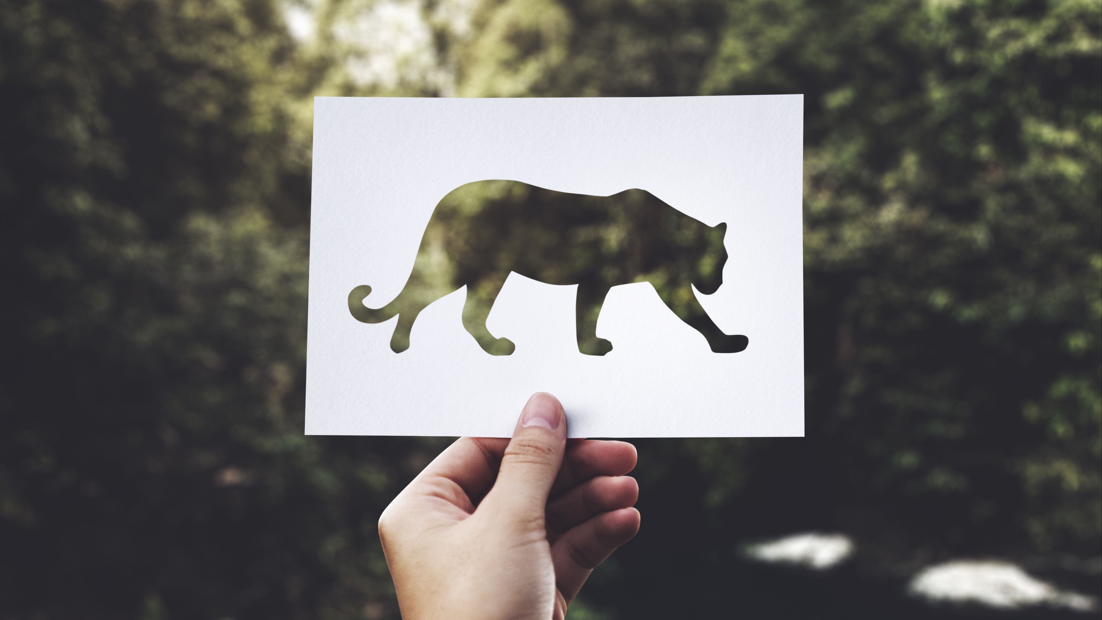 paper, predator, art, hand, 4k, HD Wallpaper