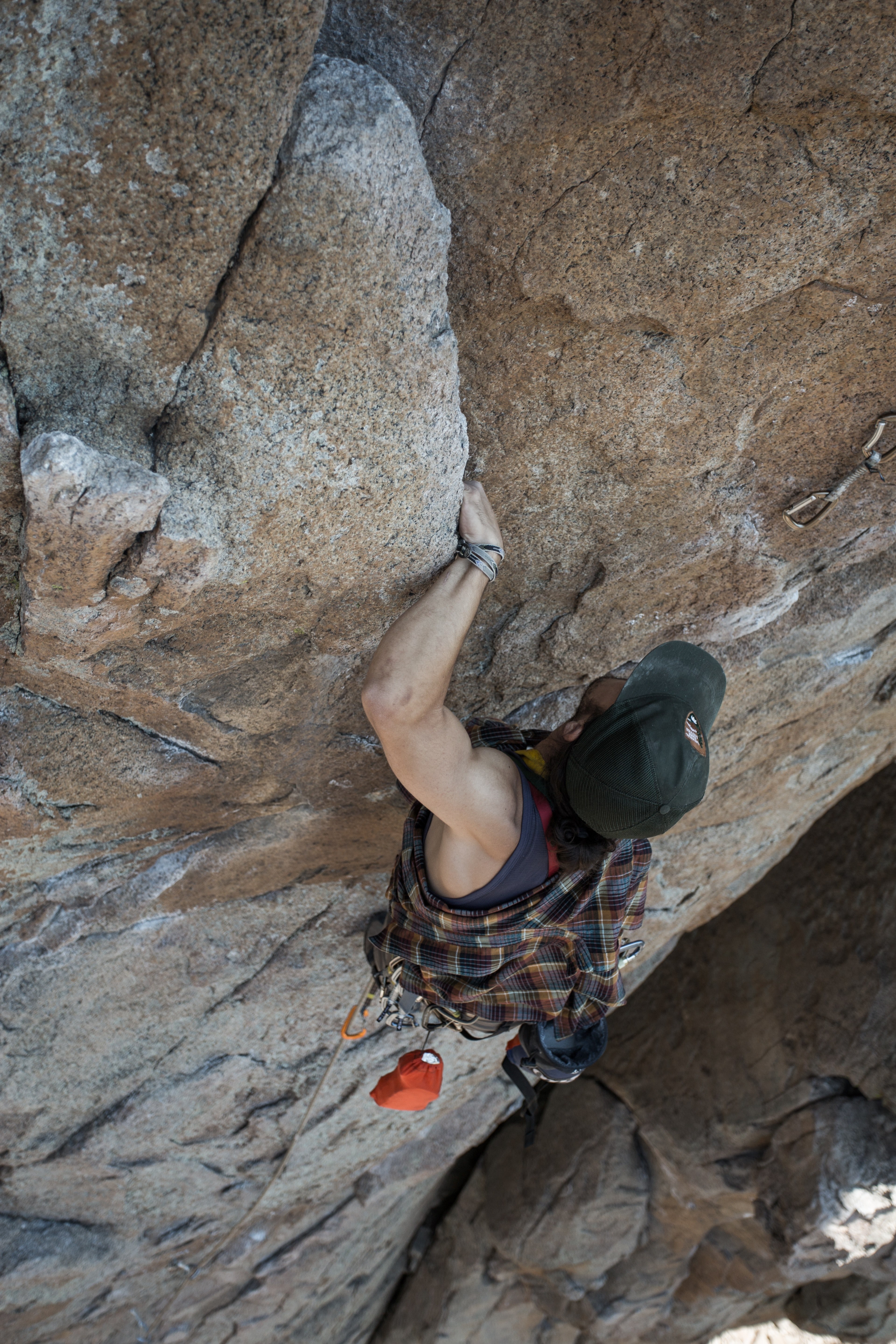 big bear climbing 4k, Phone HD Wallpaper