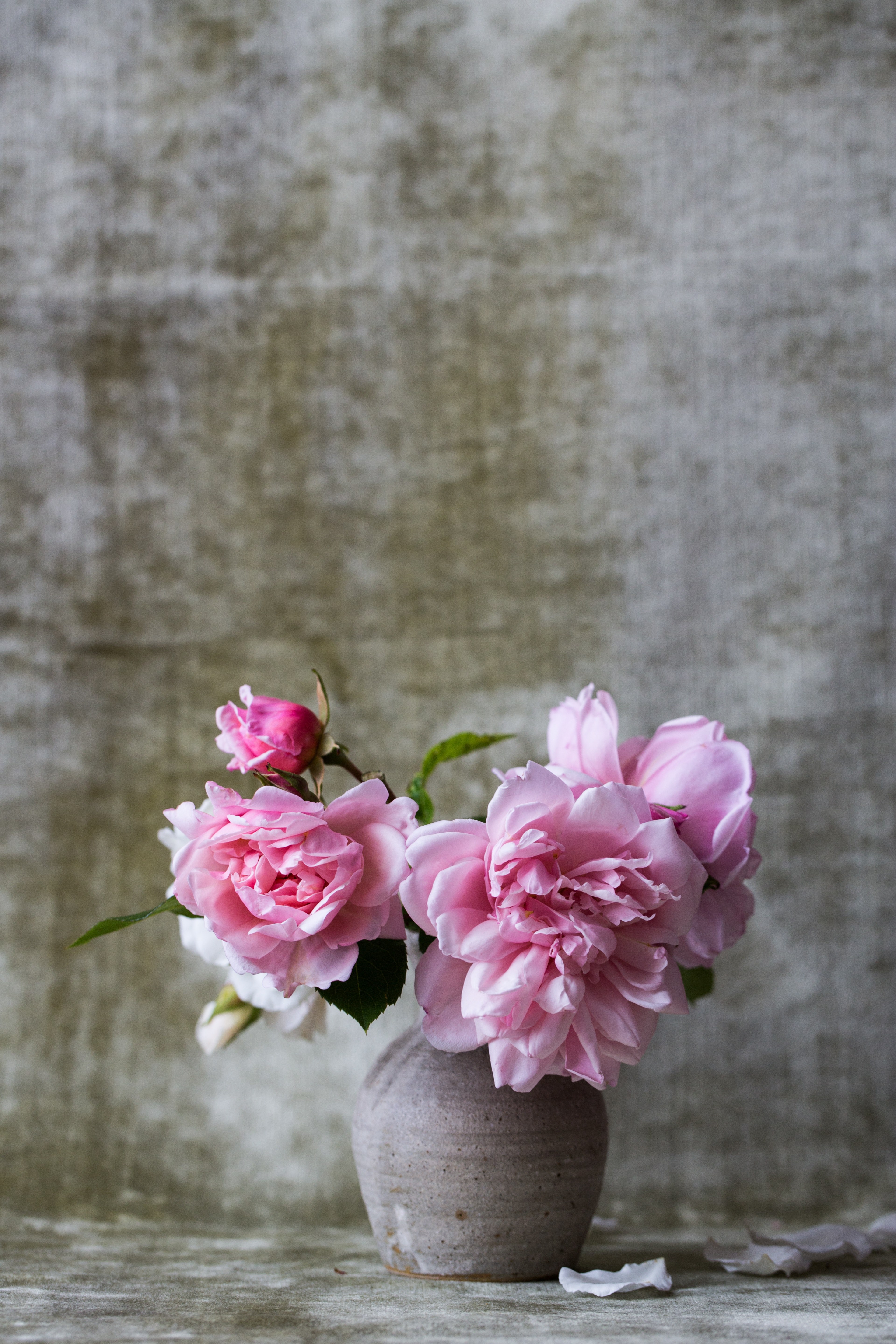 mini pink flower bouquet in gray vase with textured wall background in spring, peony vase 4k, Phone HD Wallpaper