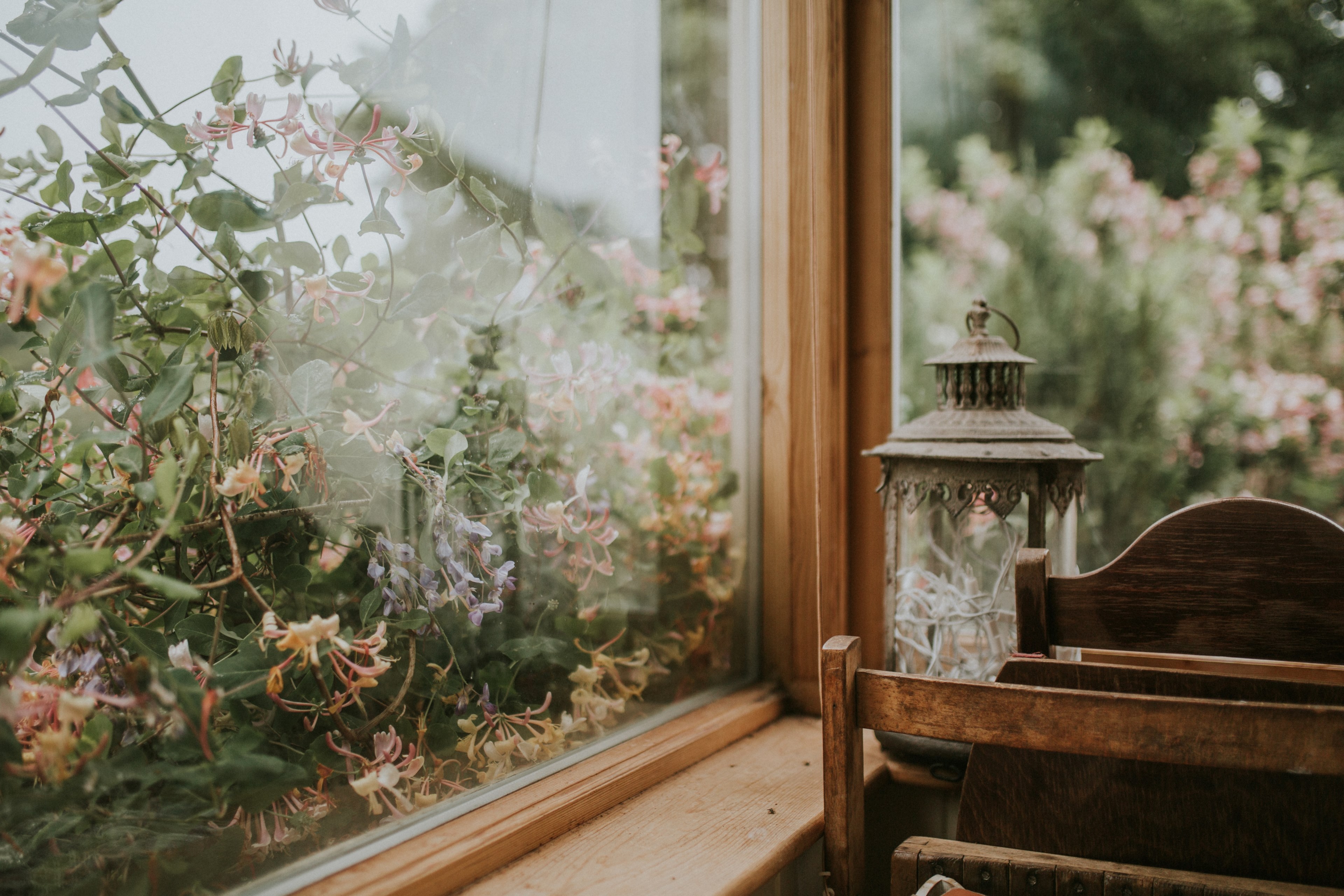 window lantern wood and flower 4k, HD Wallpaper