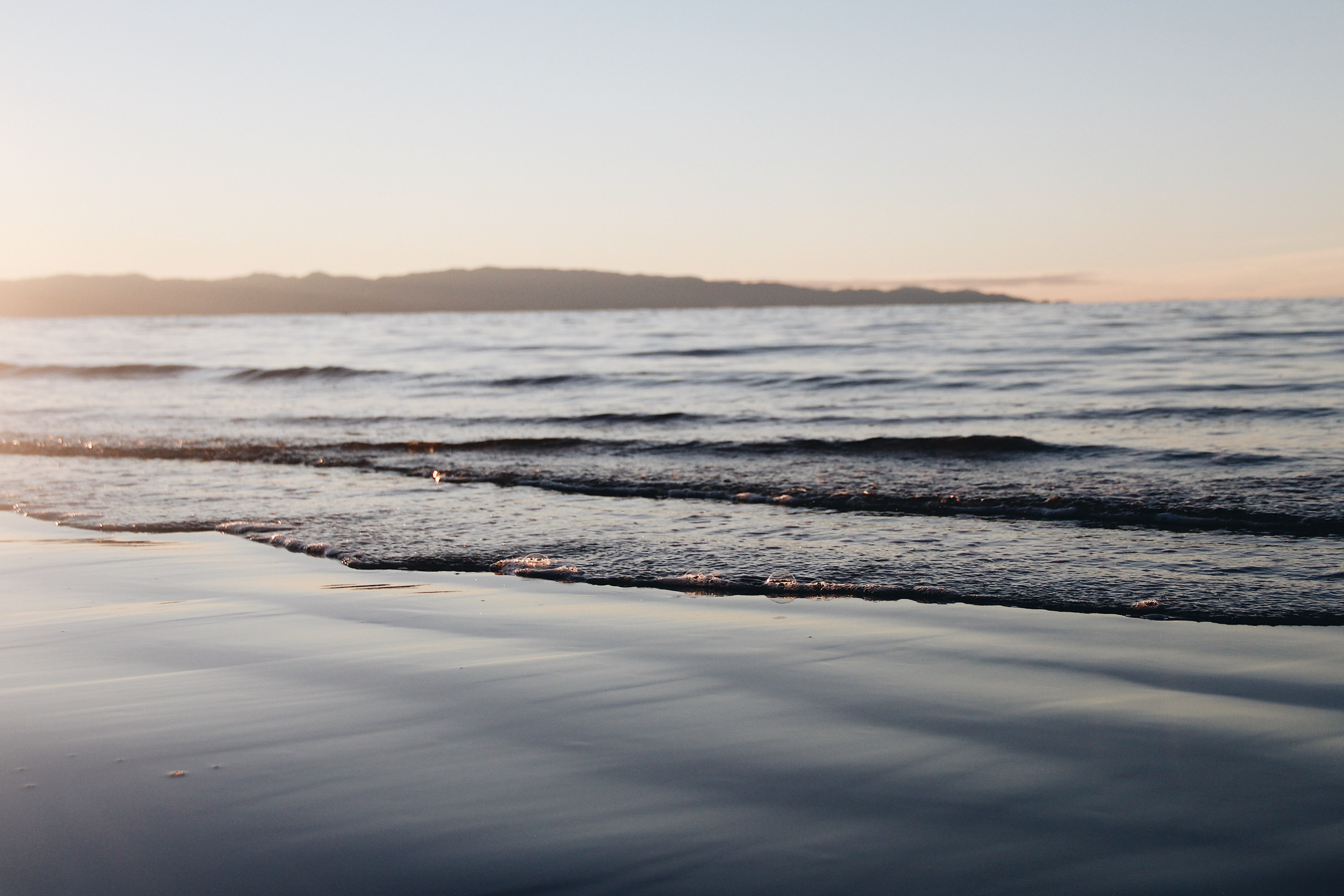 a soft focus 4k, HD Wallpaper