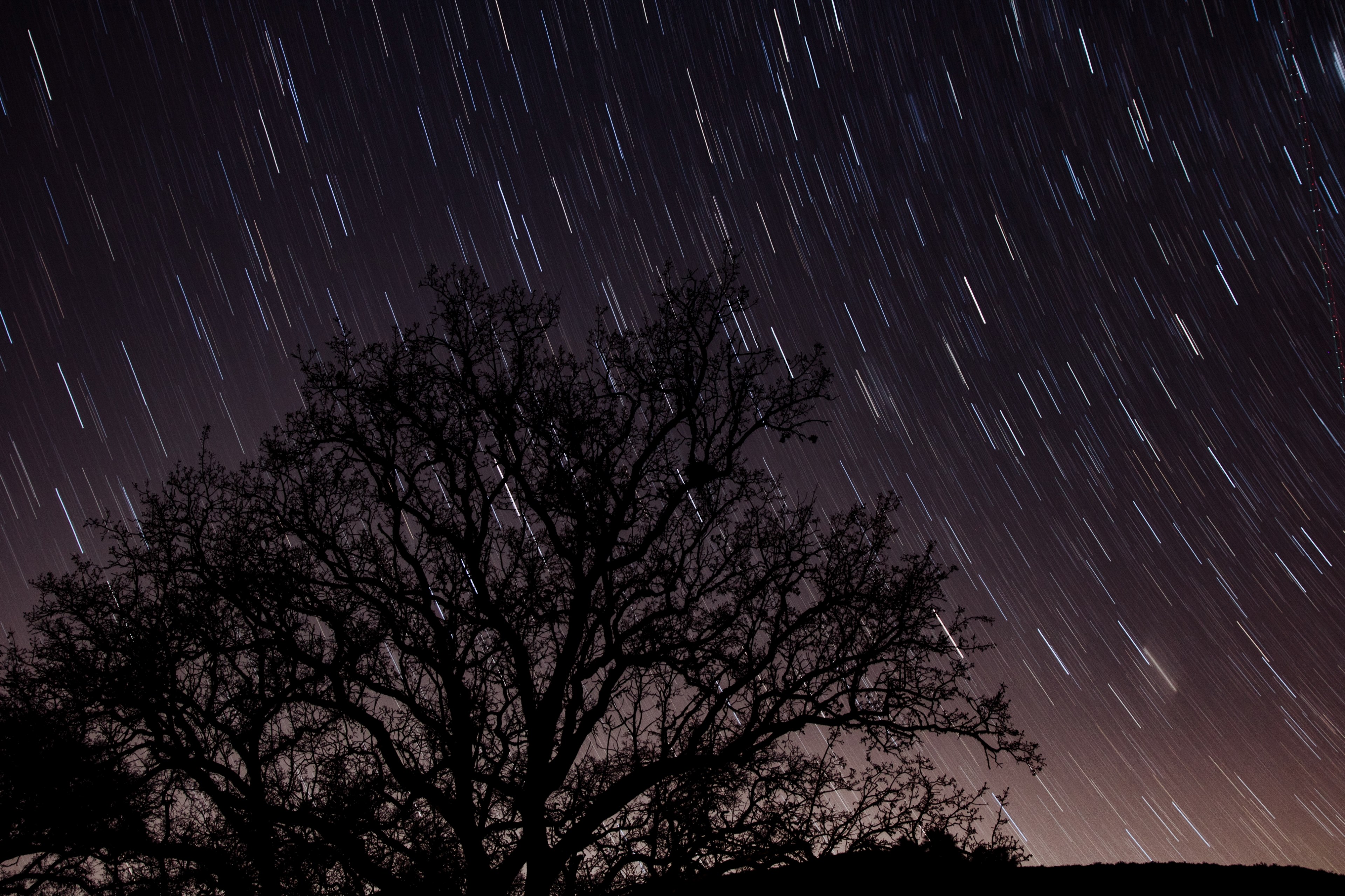 star lapse tree silhouette night sky and long exposure 4k, HD Wallpaper