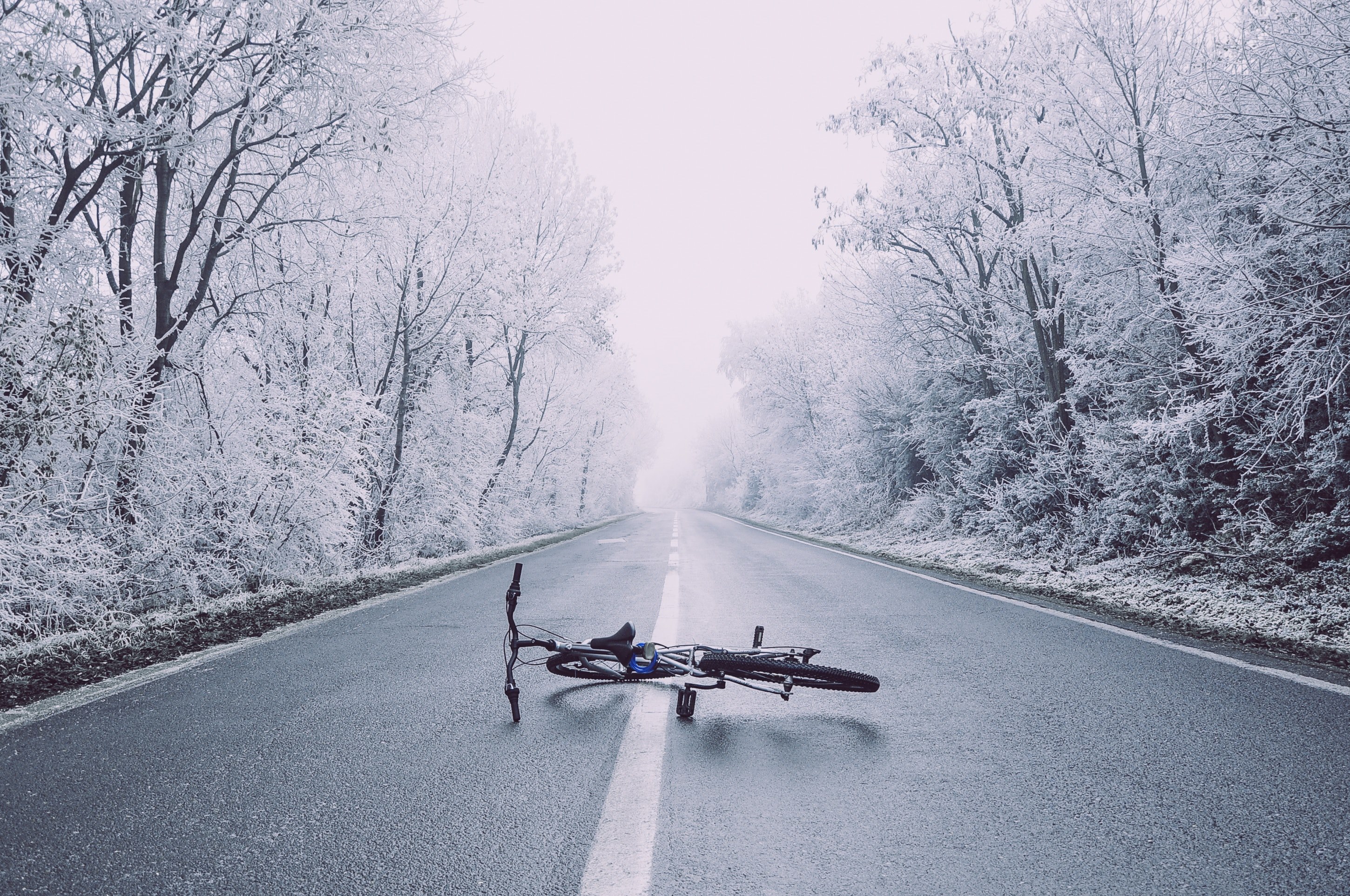 a bicycle in the middle of an asphalt road surrounded by trees covered in snow during winter in skopje, skopje winter road 4k, HD Wallpaper