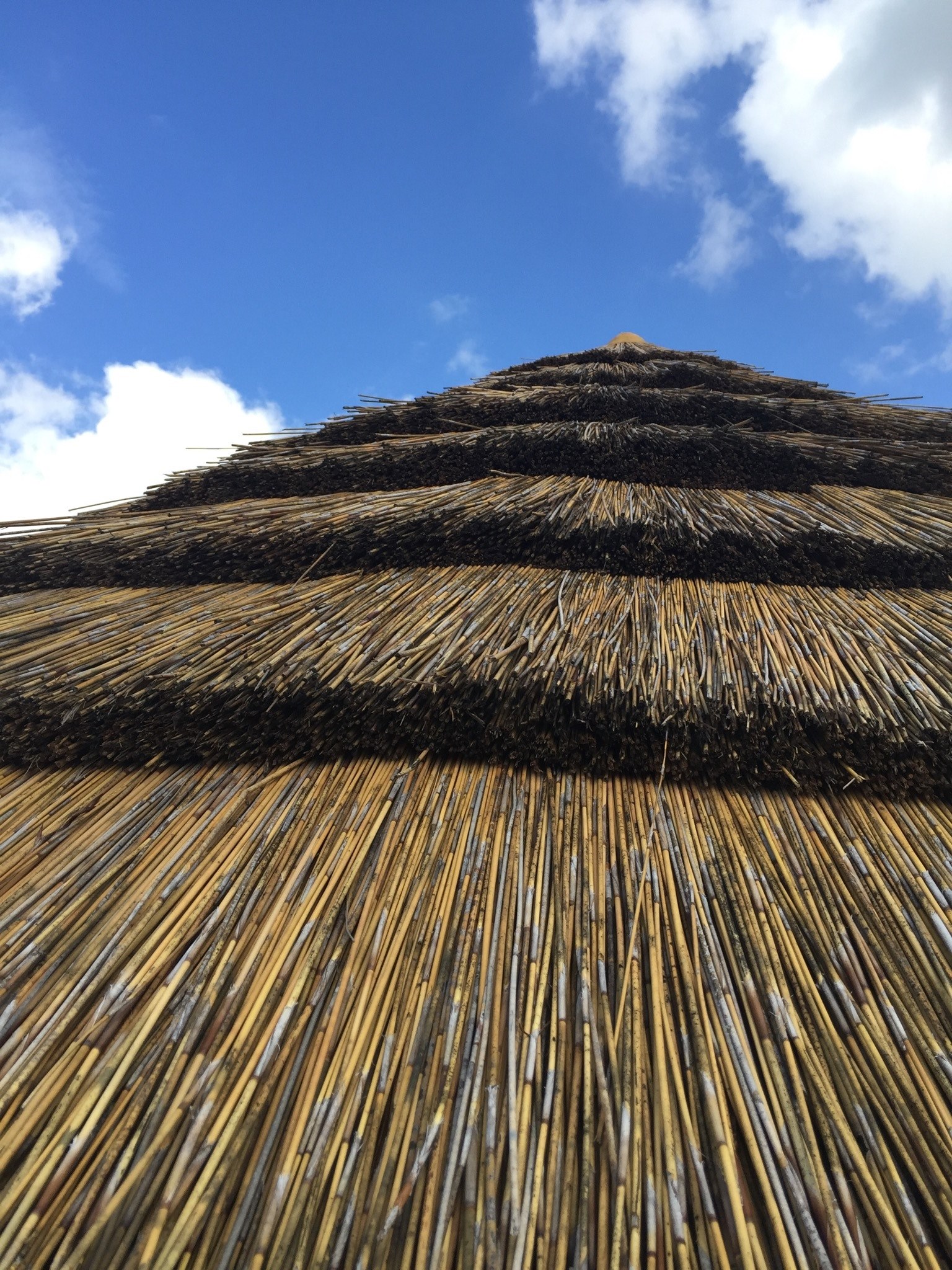 reed roof sky and thatch hd, 4k, Phone HD Wallpaper