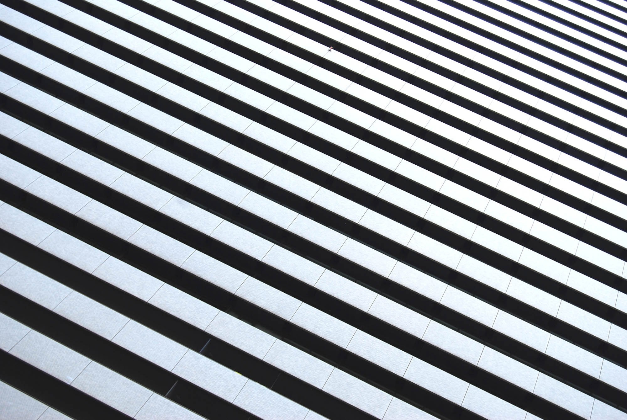 black and white tiled floor close up in osaka, monochrome floor osaka 4k, HD Wallpaper