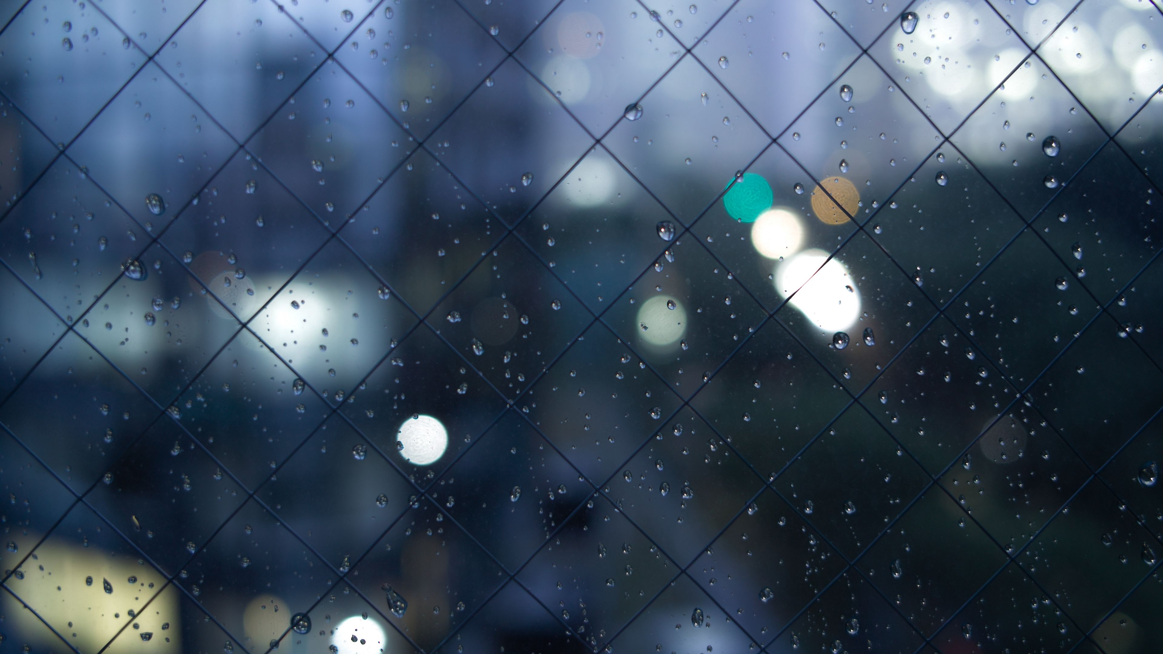 fence, mesh, drops, texture, 4k, HD Wallpaper