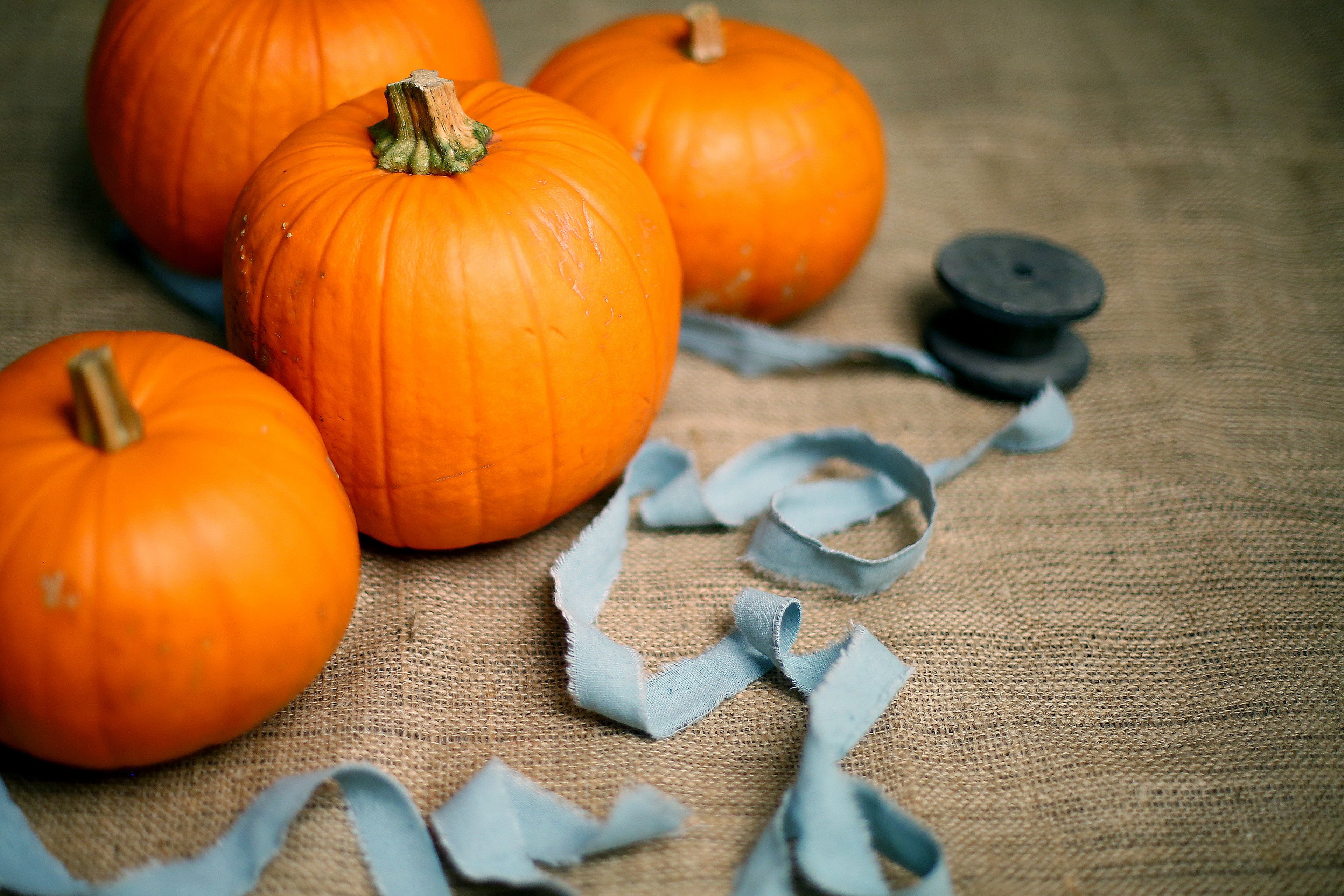 a collection of seasonal pumpkins and a ribbon in scotland, pumpkins and ribbons 4k, HD Wallpaper