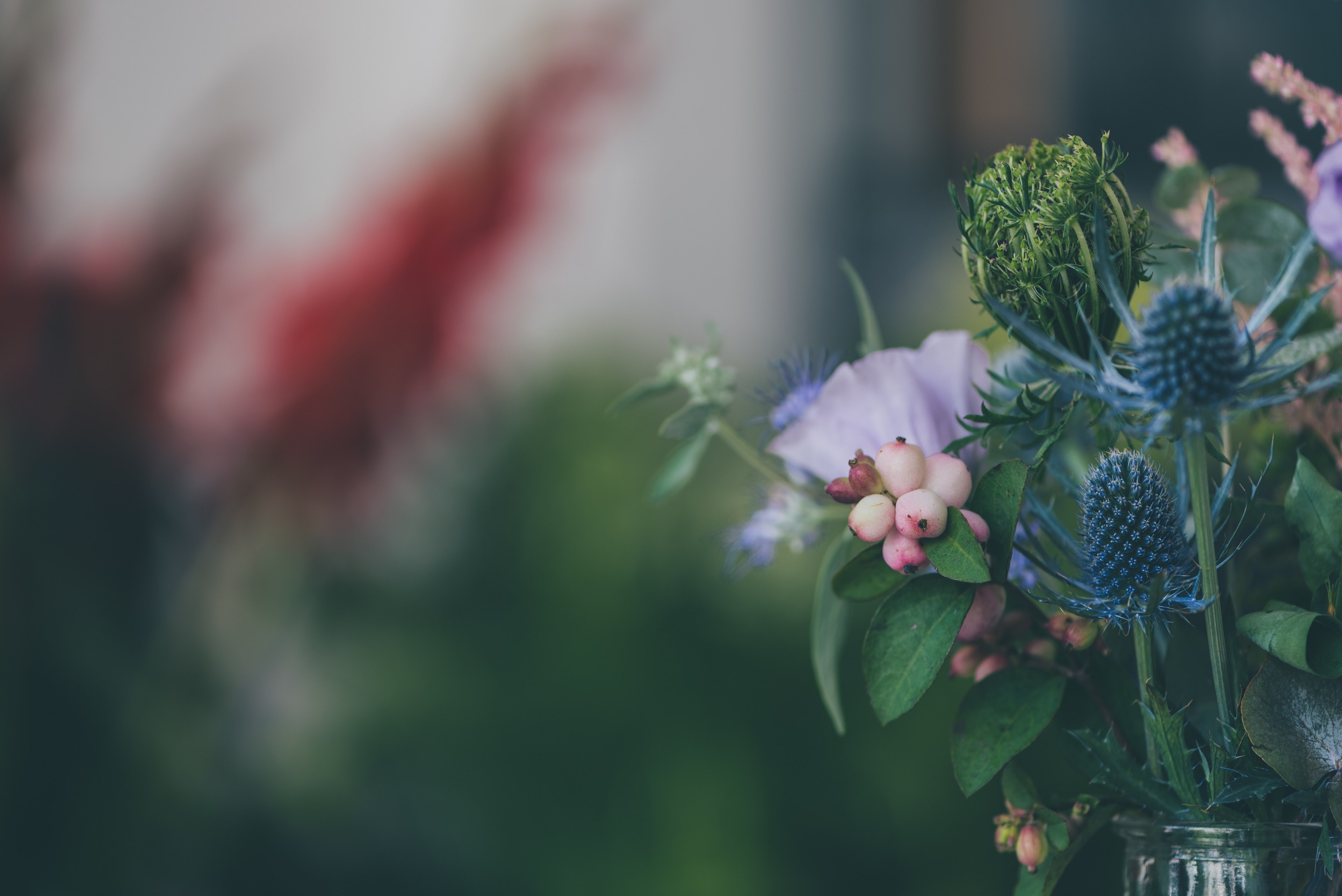 florist and flower 4k, HD Wallpaper