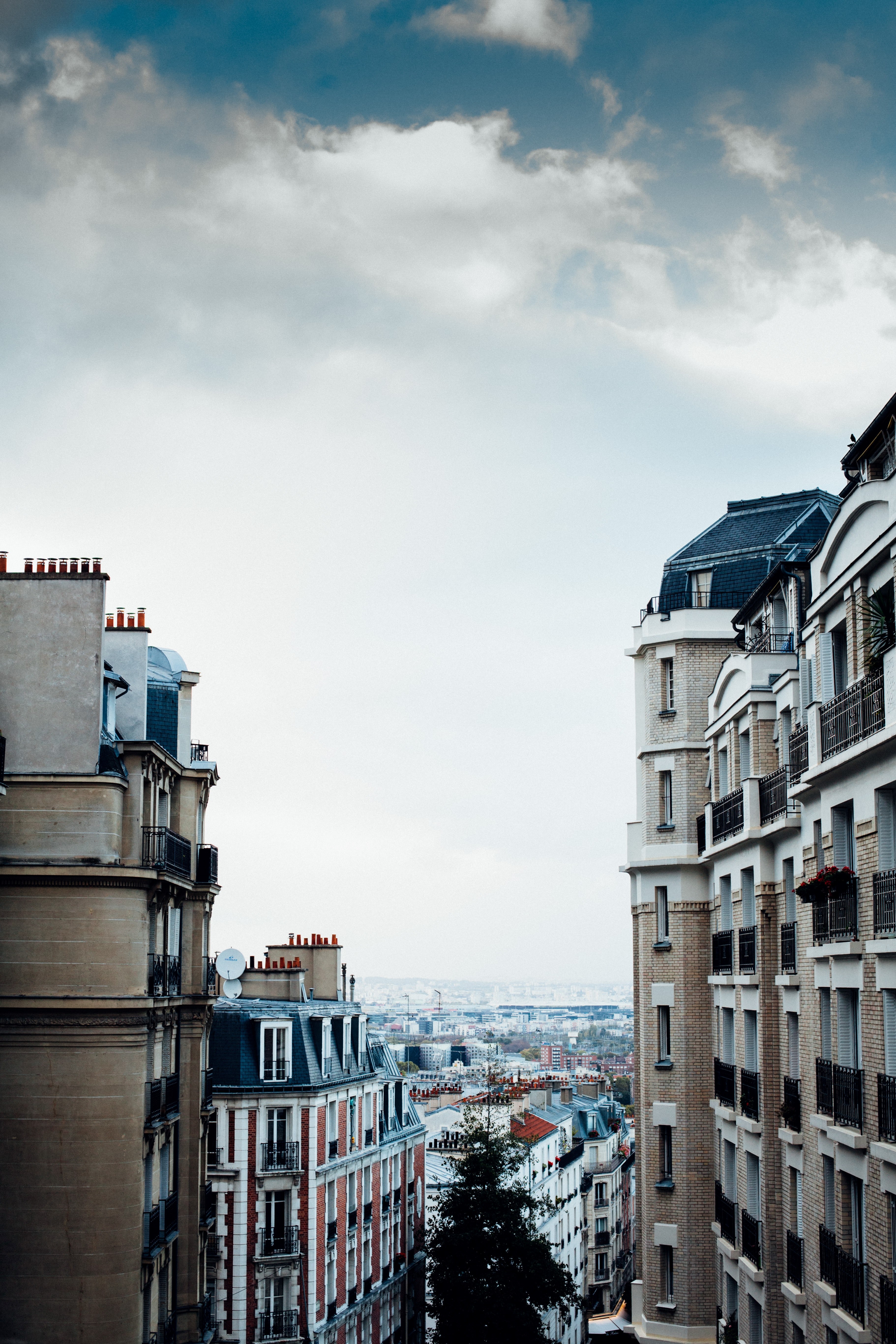 building architecture tree and apartment building hd, 4k, Phone HD Wallpaper