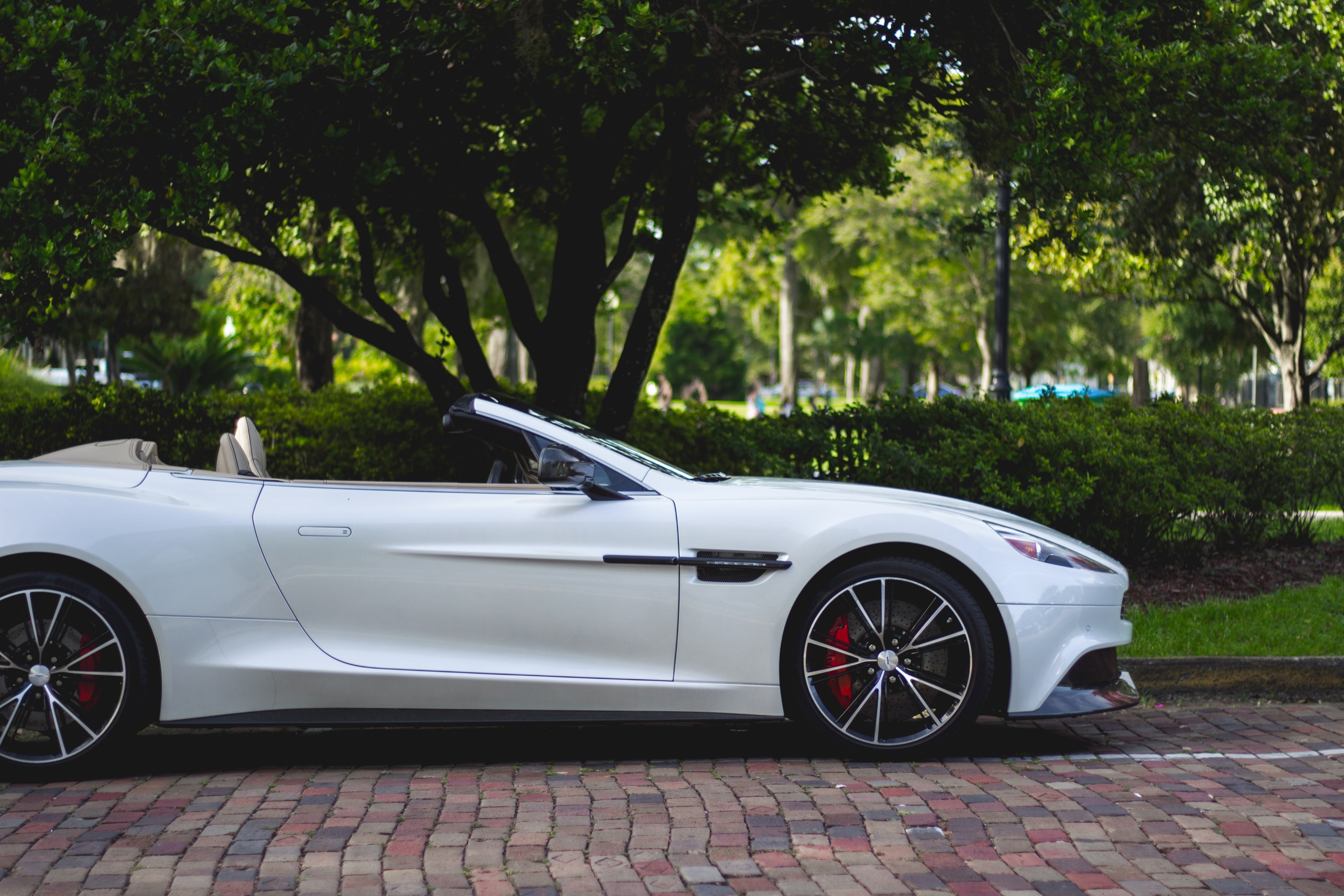 a white sports convertible parked near a park, white convertible near a park 4k, HD Wallpaper