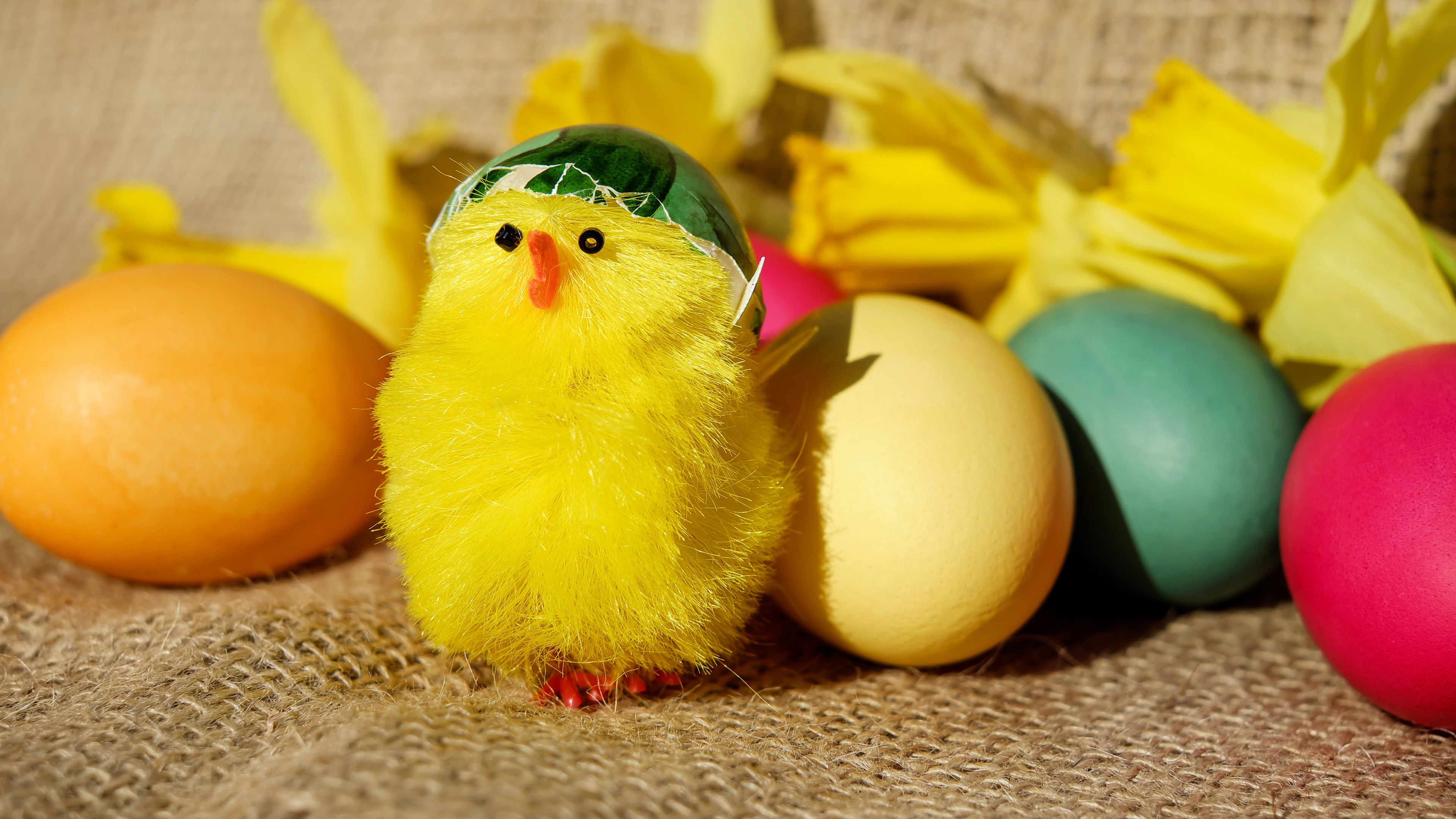 chick, eggs, easter, 4k, HD Wallpaper