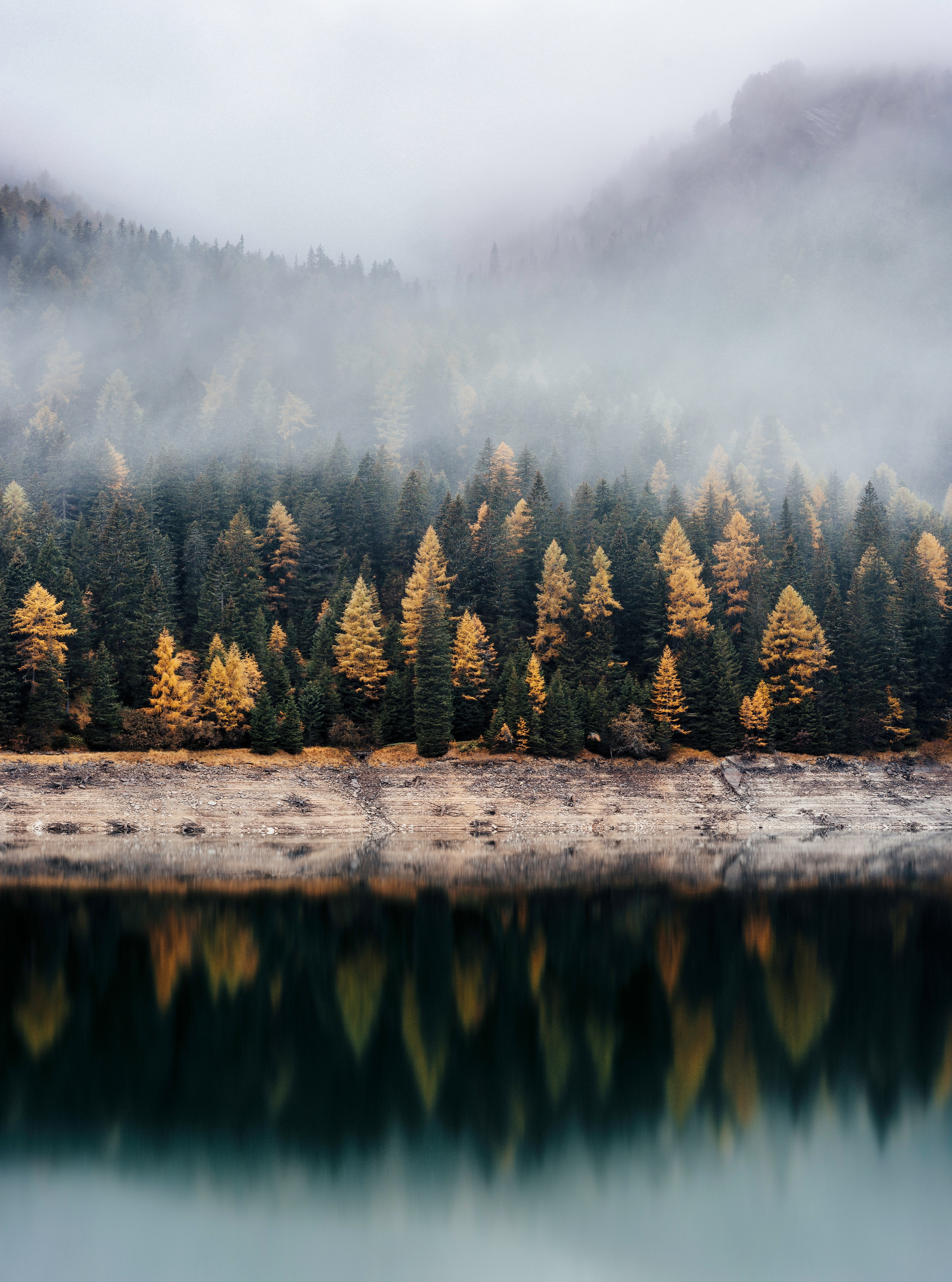 view on a coniferous forest across a lake, autumn woods across the lake 4k, Phone HD Wallpaper