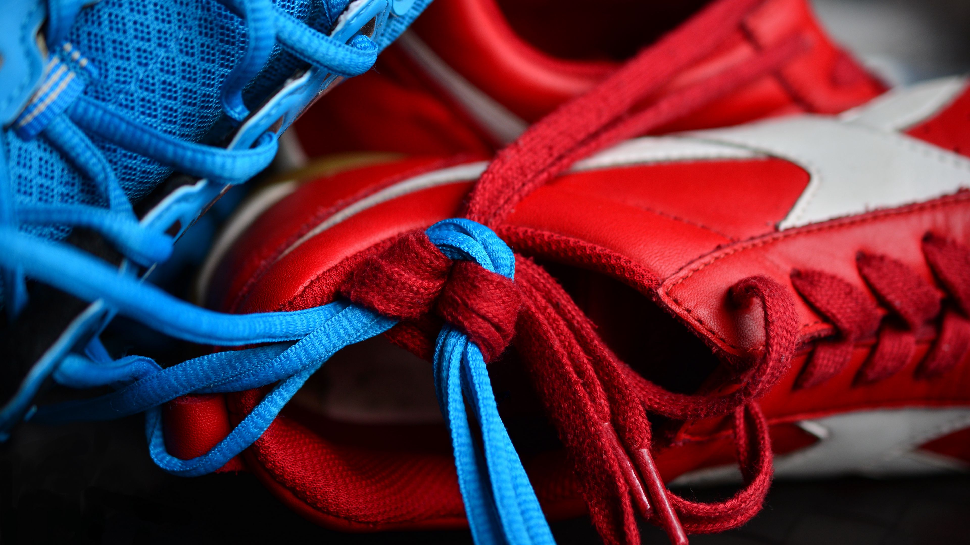 sneakers, shoelaces, sports, 4k, HD Wallpaper