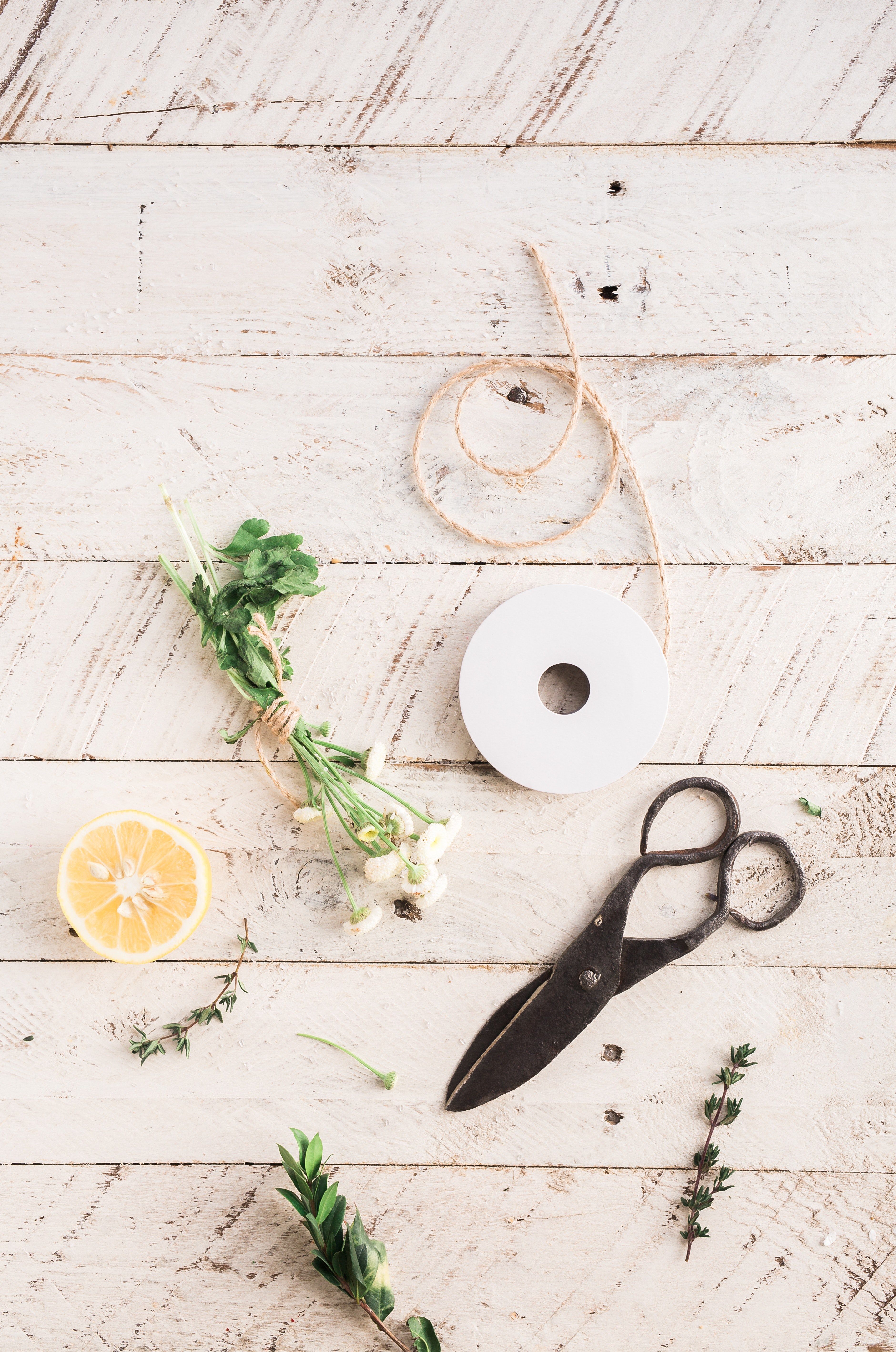 an overhead shot of a pair of rusty scissors a piece of citrus a posy of white daisies and leaves on branchlets, mor flower 4k, Phone HD Wallpaper
