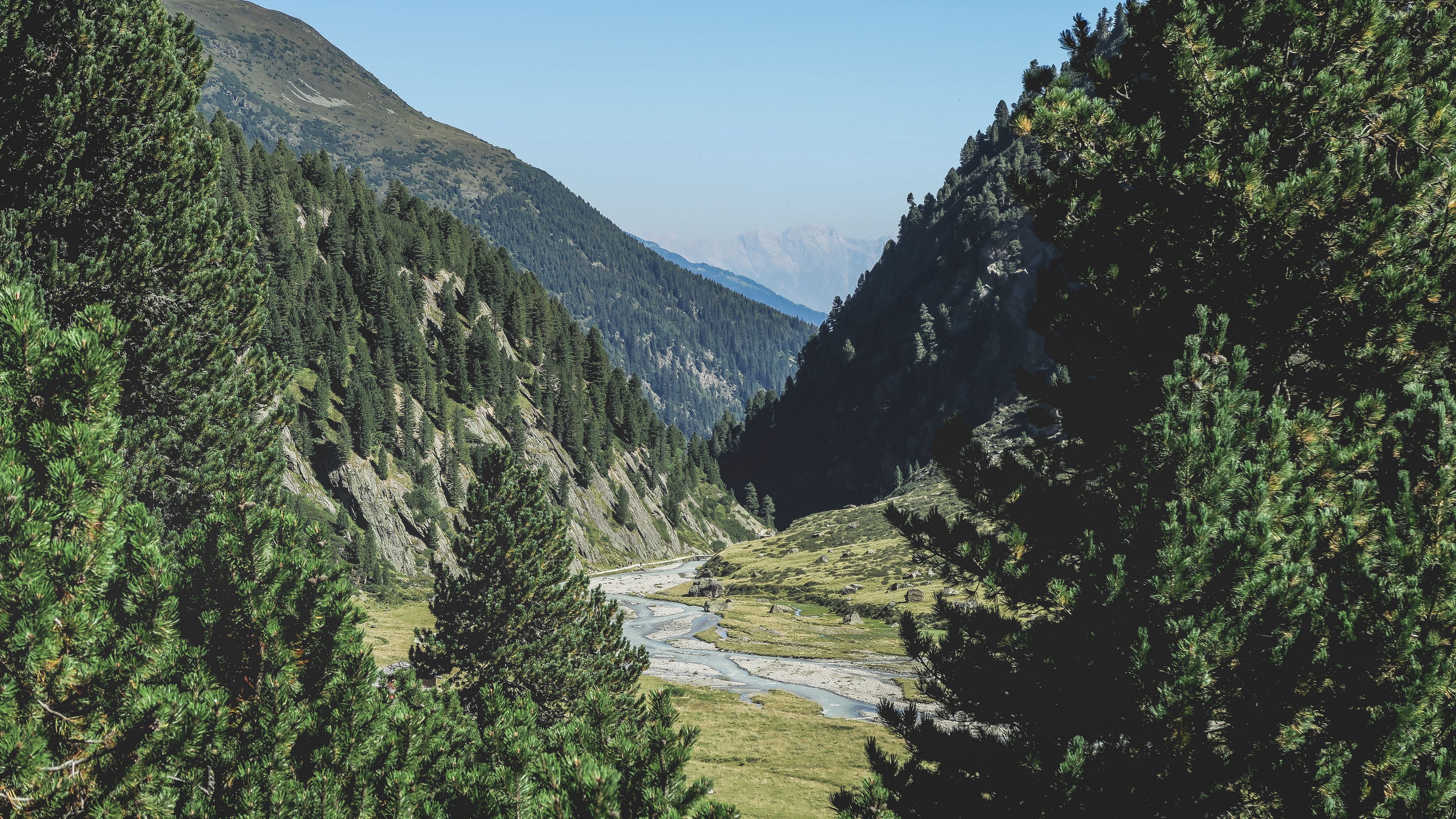 mountains, trees, summer, grass, 4k, HD Wallpaper