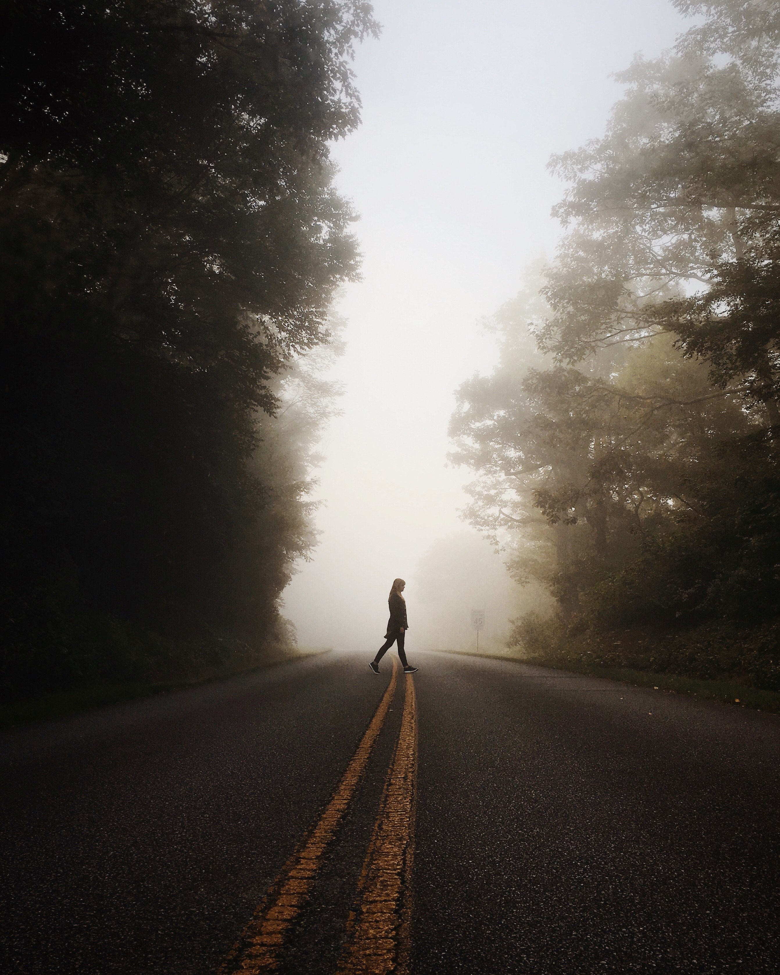 park road light and silhouette hd, 4k, Phone HD Wallpaper