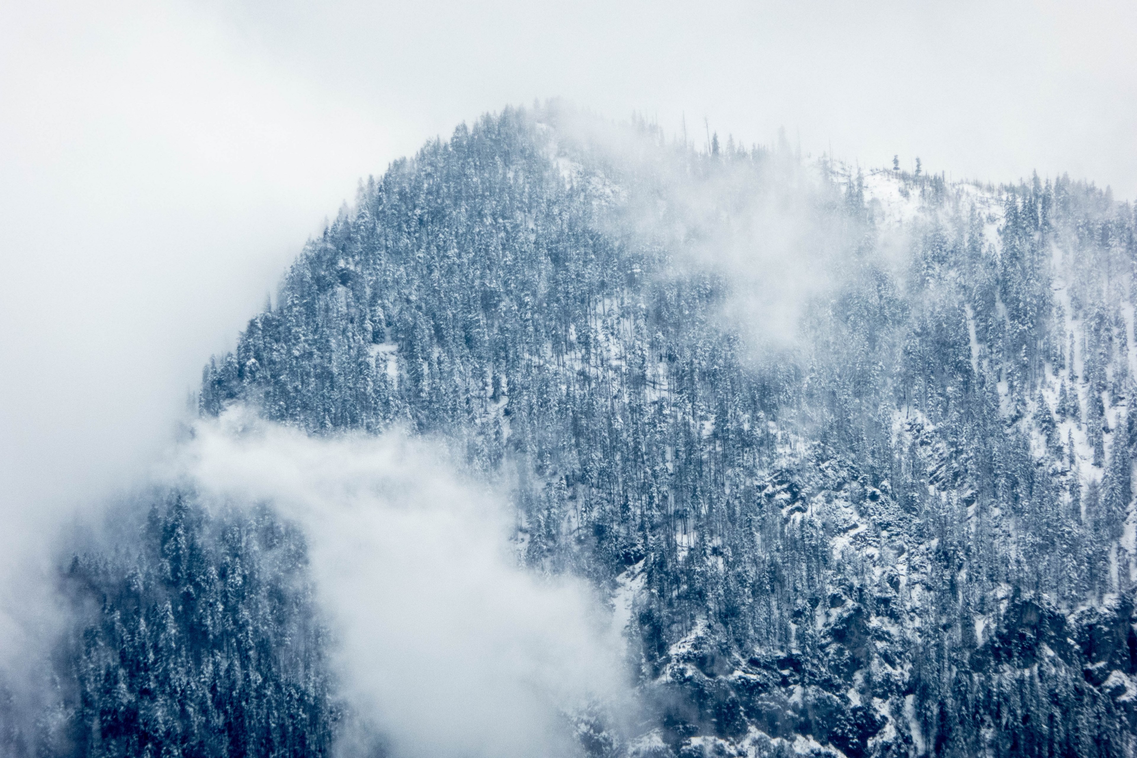 a tall wooded mountain wreathed in a thick mist, blue mountains on easter monday 4k, HD Wallpaper