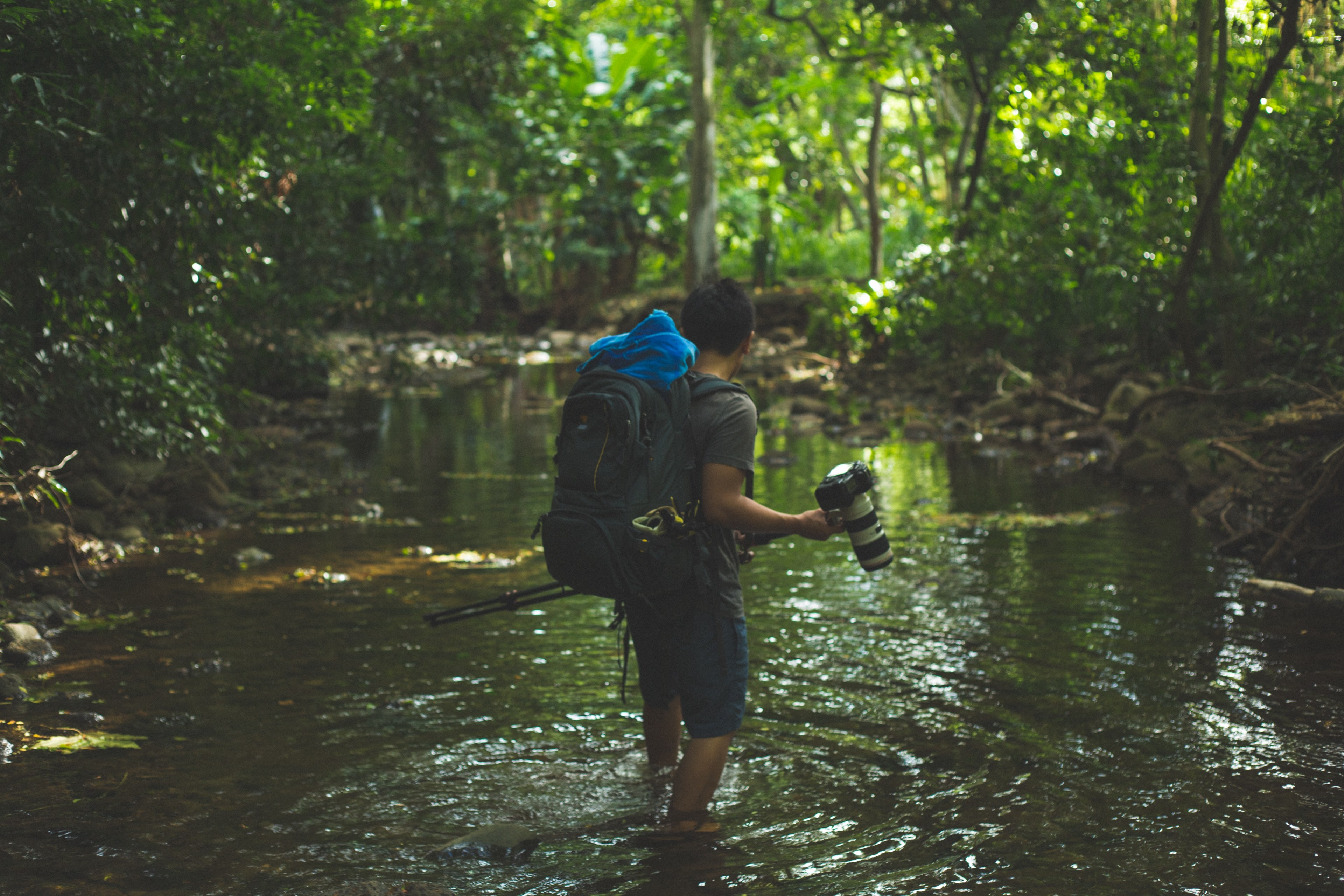 a man holding a camera while wading through a river in a forest in honolua bay, whatever it takes to get the perfect shot 4k, HD Wallpaper