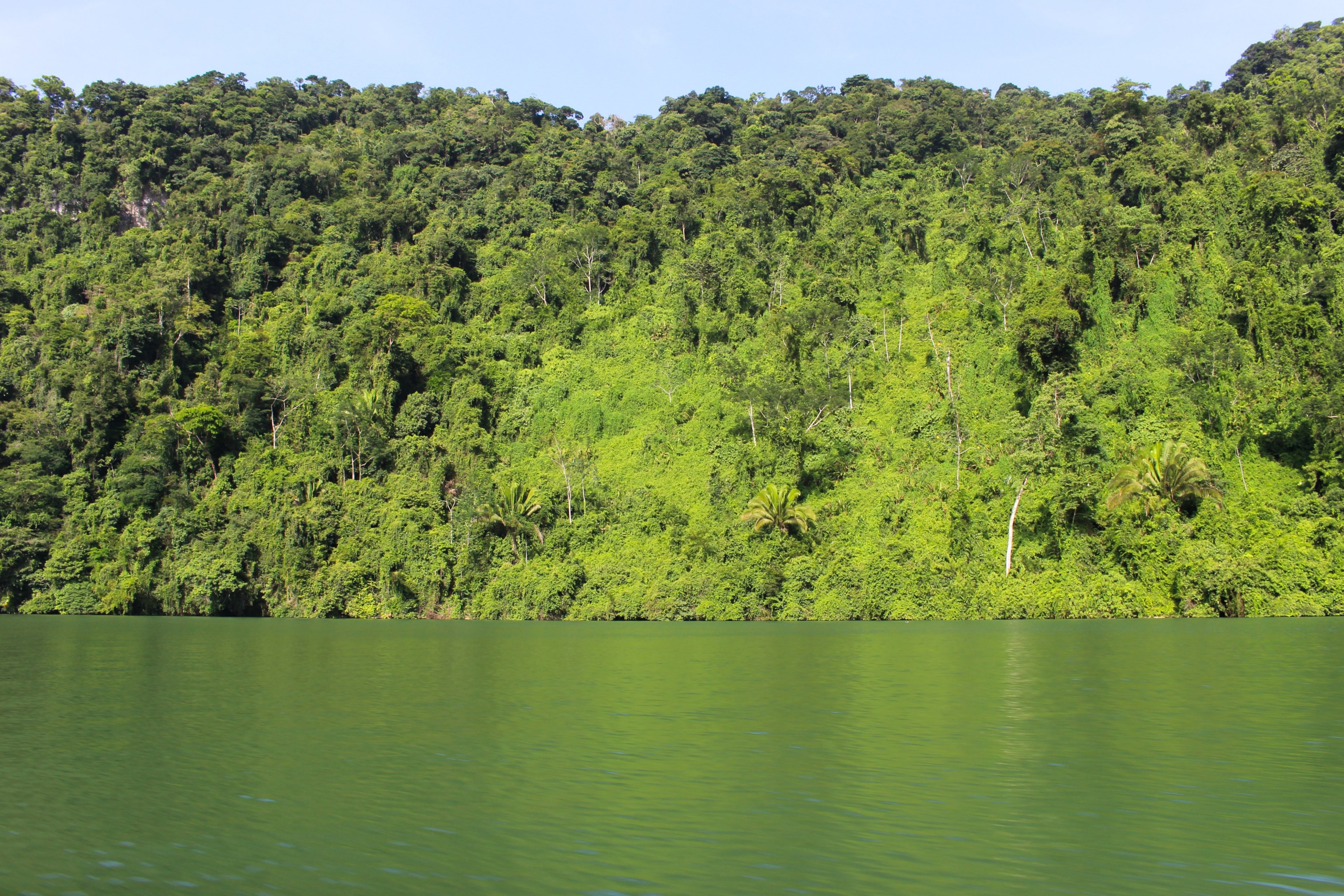 steep wooded hills over green hued water in ro dulce, green ro dulce 4k, HD Wallpaper