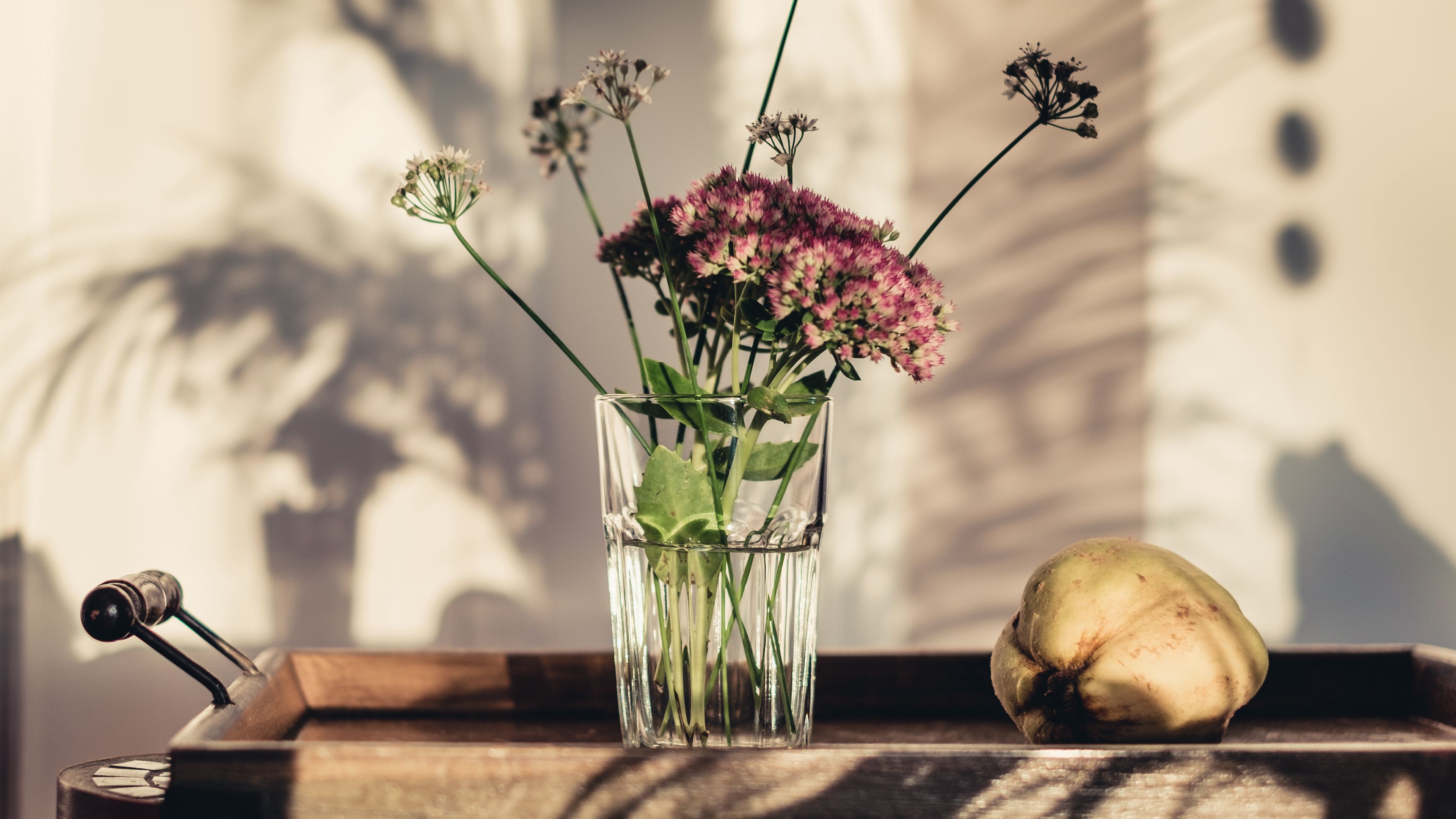 flowers, glass, vase, 4k, HD Wallpaper
