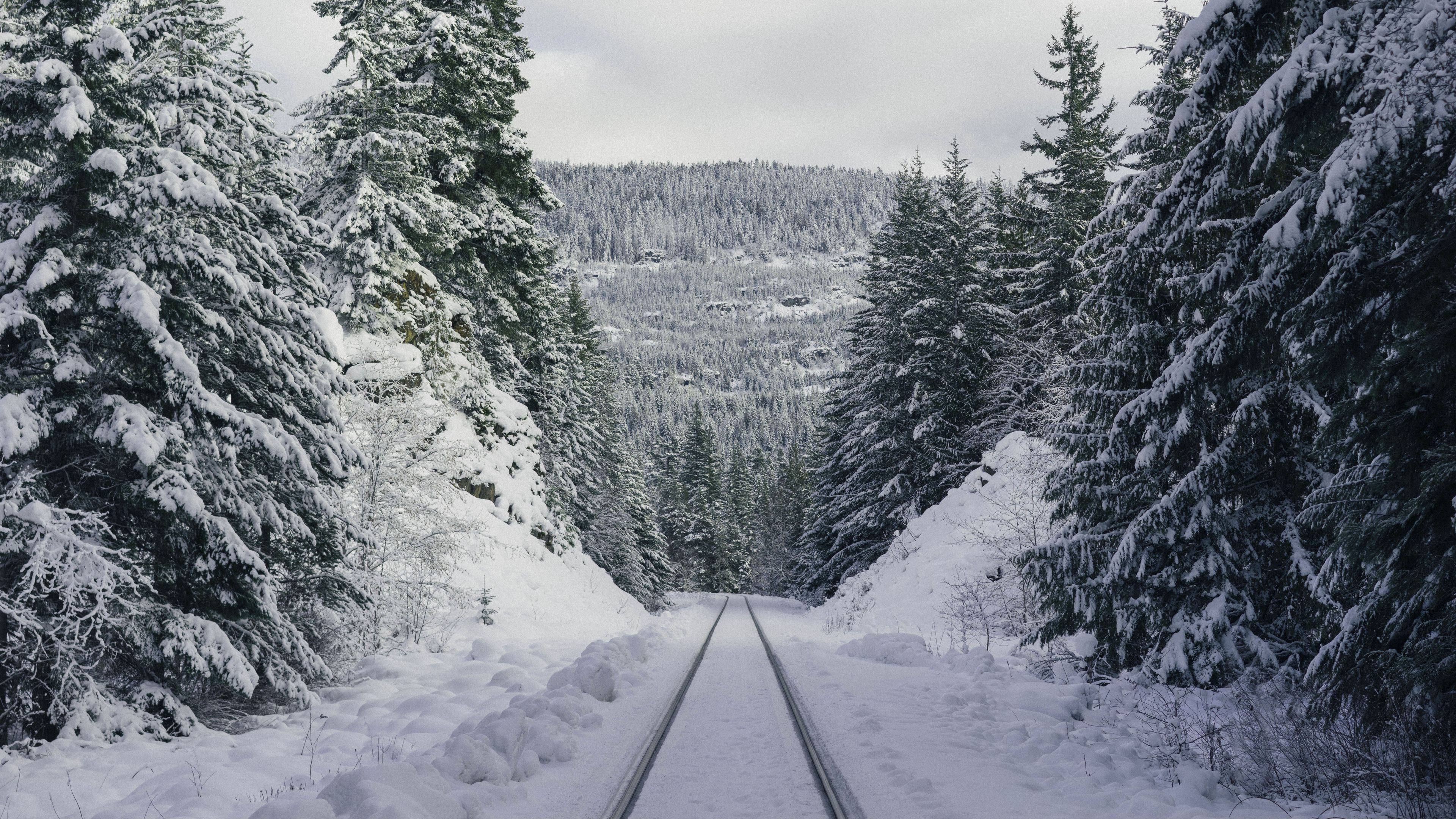 path, forest, winter, mountains, 4k, HD Wallpaper