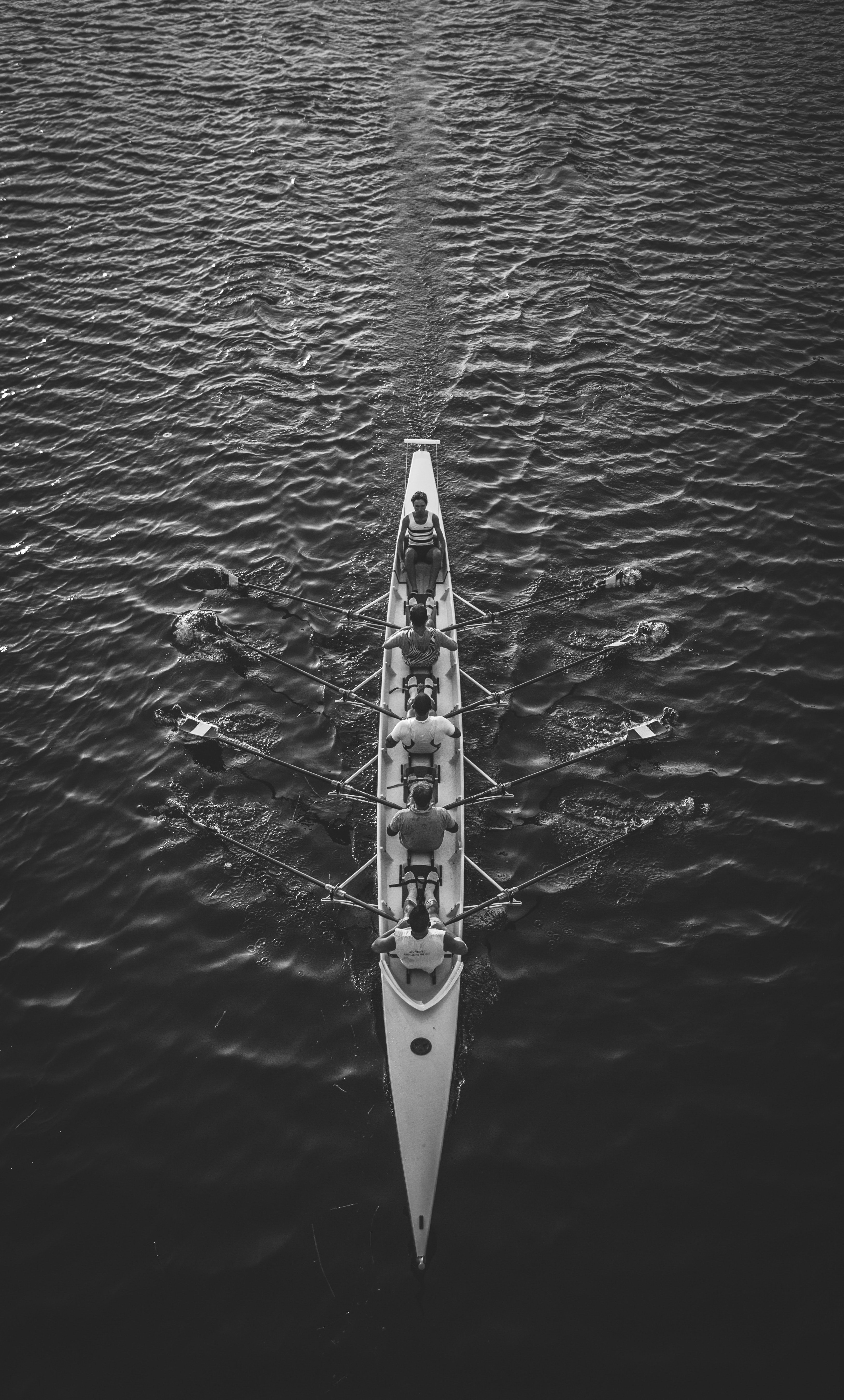 a rowing team pushing along the waters near metropolitan city of florence, i canottari 4k, Phone HD Wallpaper
