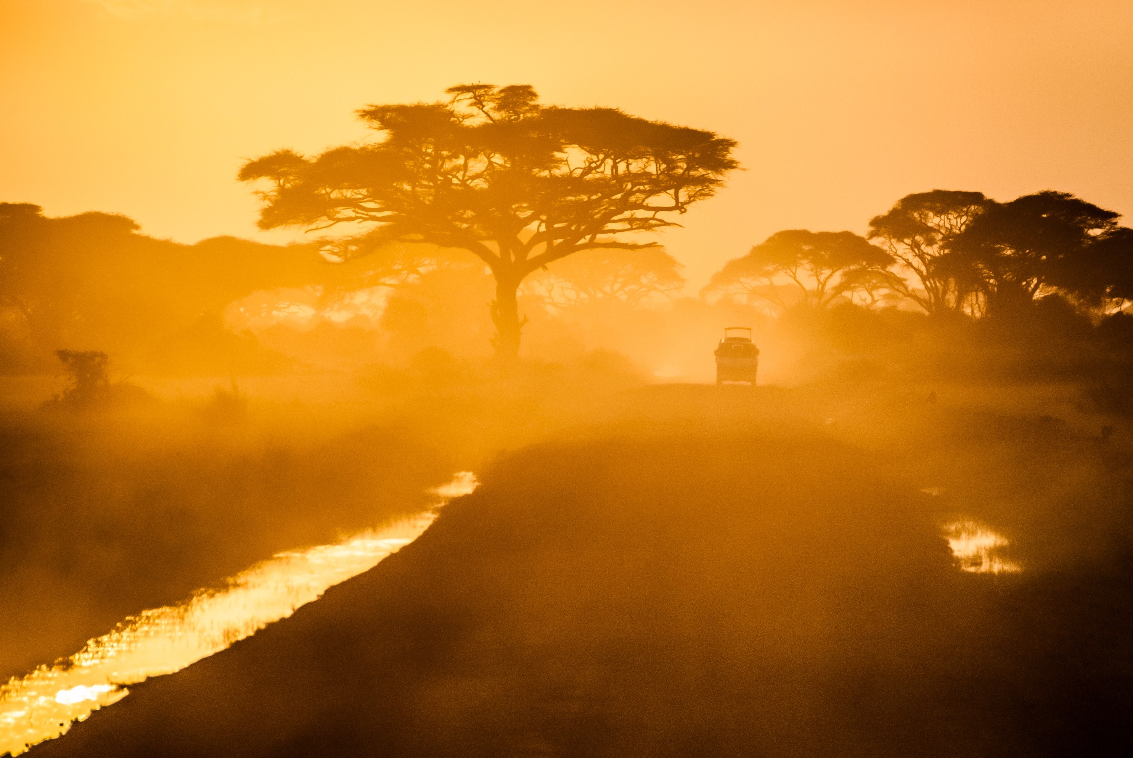 a vehicle driving down a lane and kicking up dust in kajiado with silhouetted trees and a stream in the foreground, roads of africa 4k, HD Wallpaper