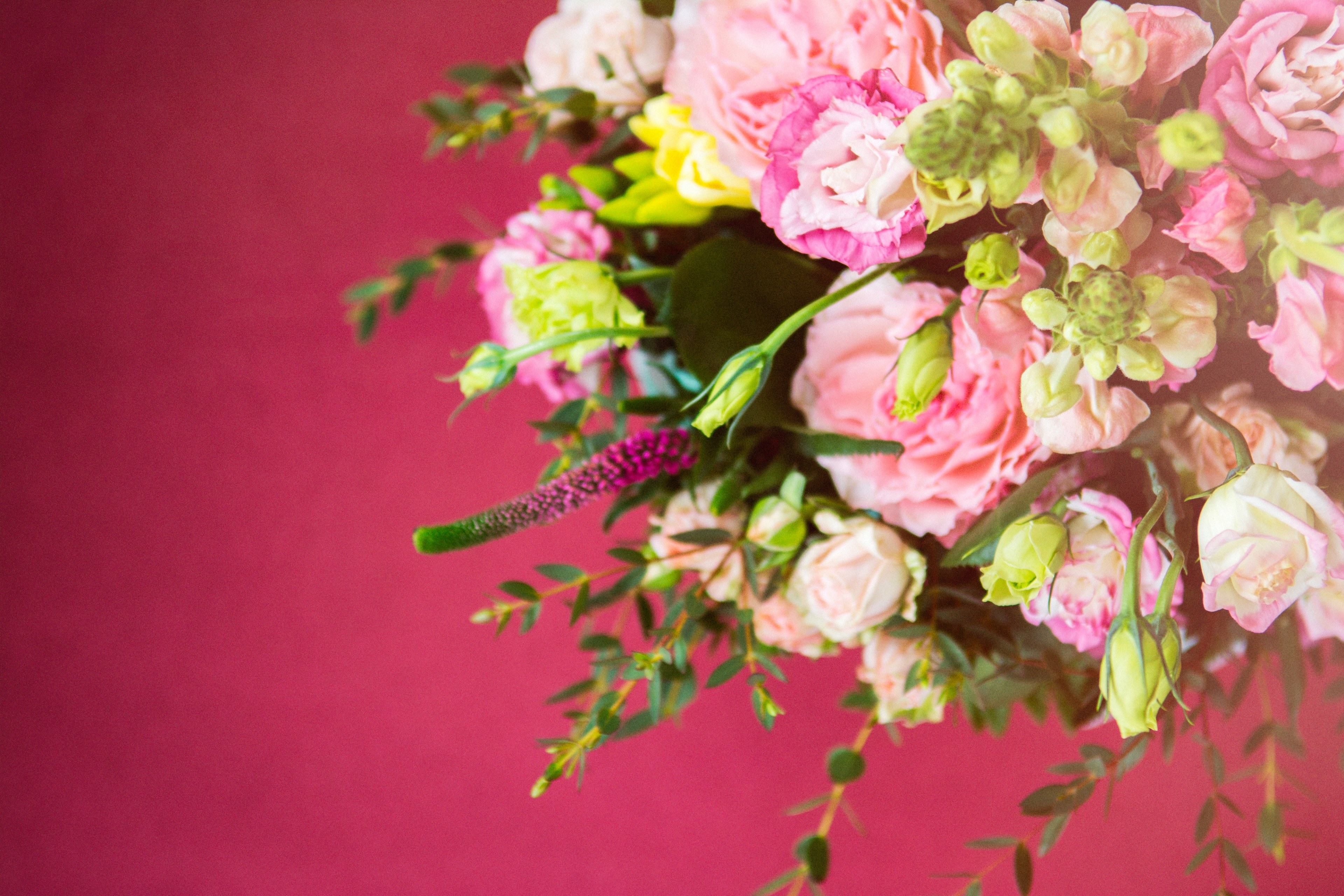a large bouquet of roses peonies and other smaller flowers, gorgeous bouquet on purple background 4k, HD Wallpaper