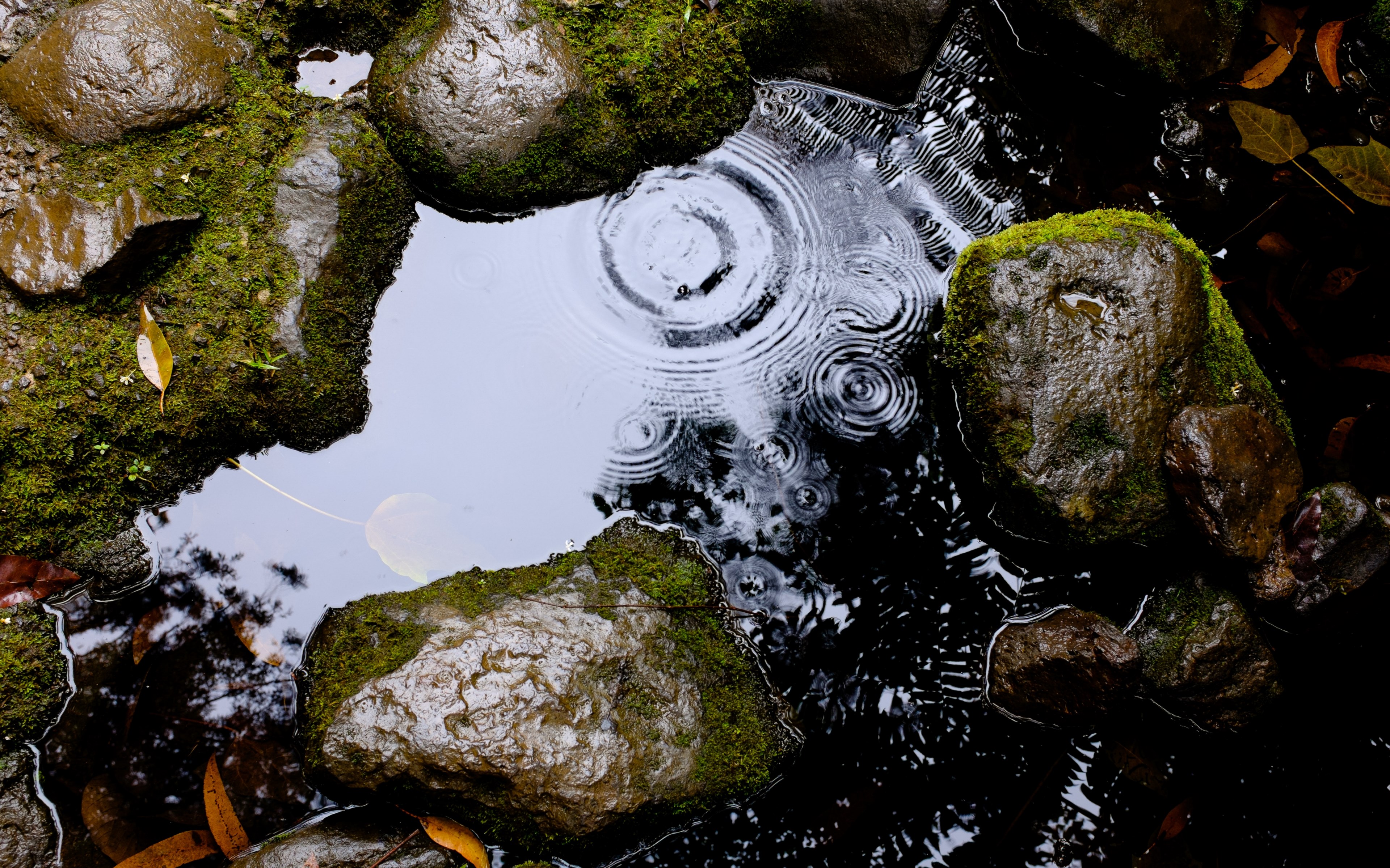 a rippling pool of water among smooth rocks, ripples near slick rocks 4k, HD Wallpaper