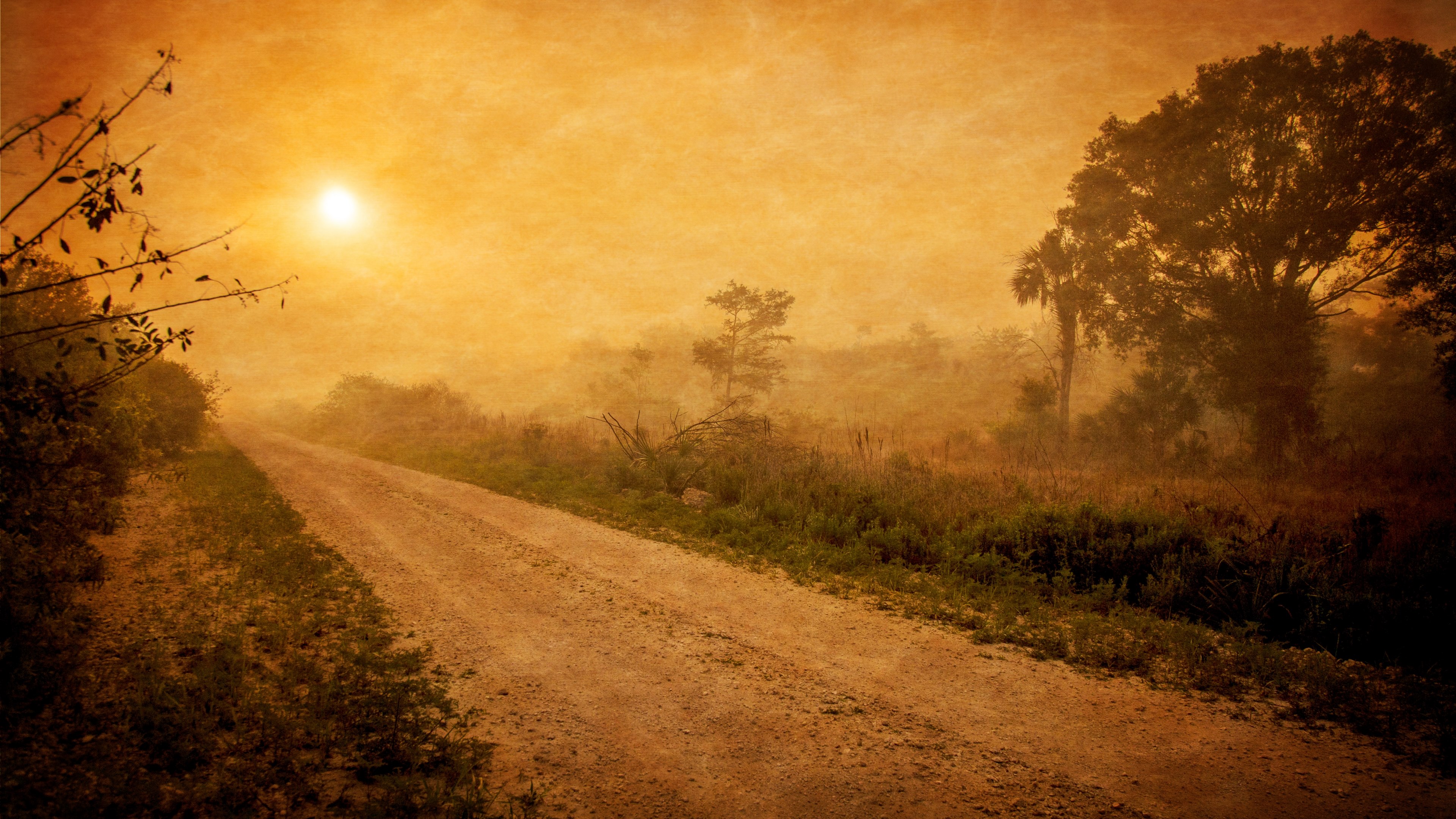 slowly setting sun over a dirt road in the wilderness, sun scorched road 4k, HD Wallpaper