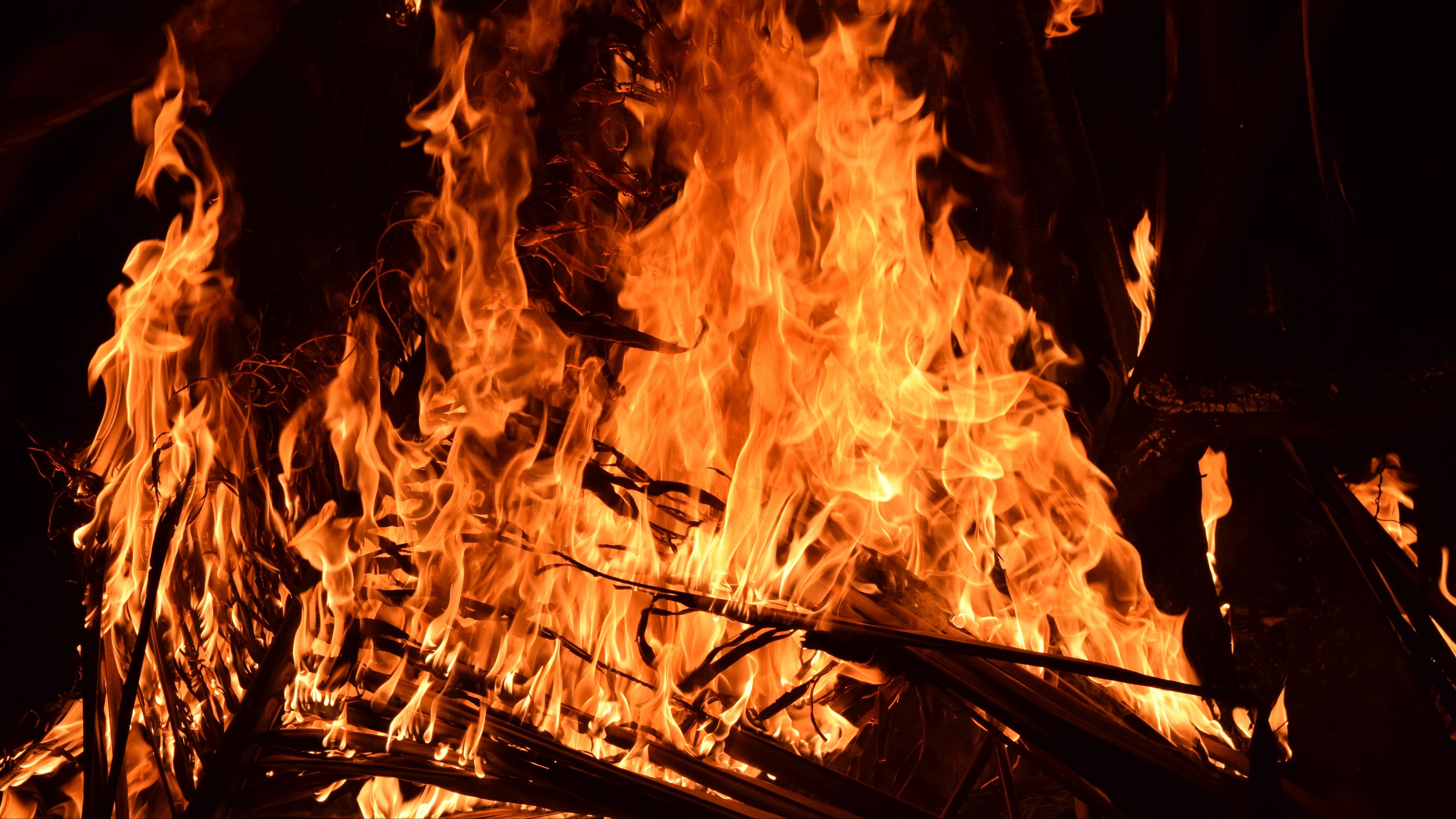 bonfire, fire, flame, brushwood, 4k, HD Wallpaper