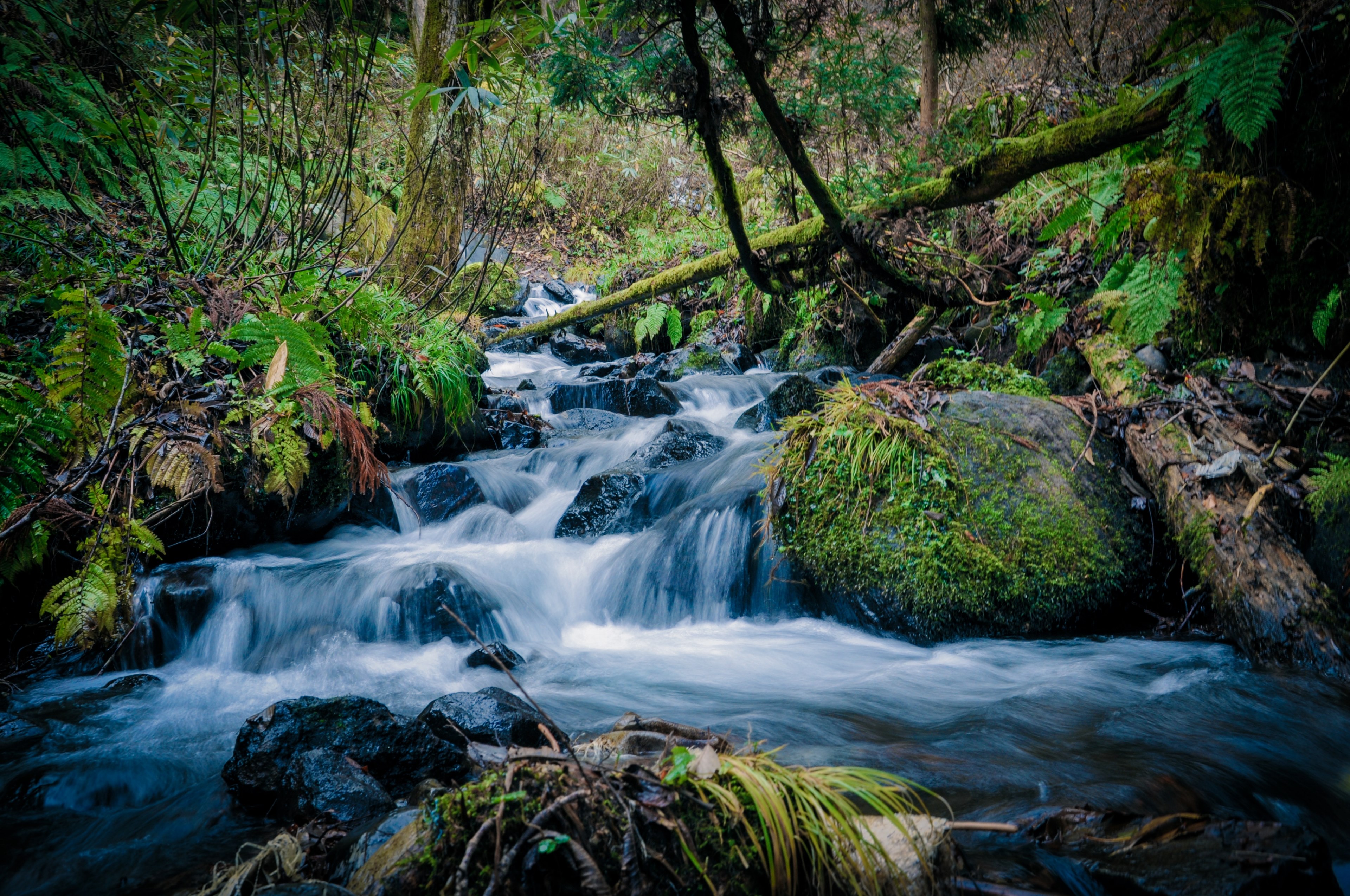 waterfall rock tree and river 4k, HD Wallpaper