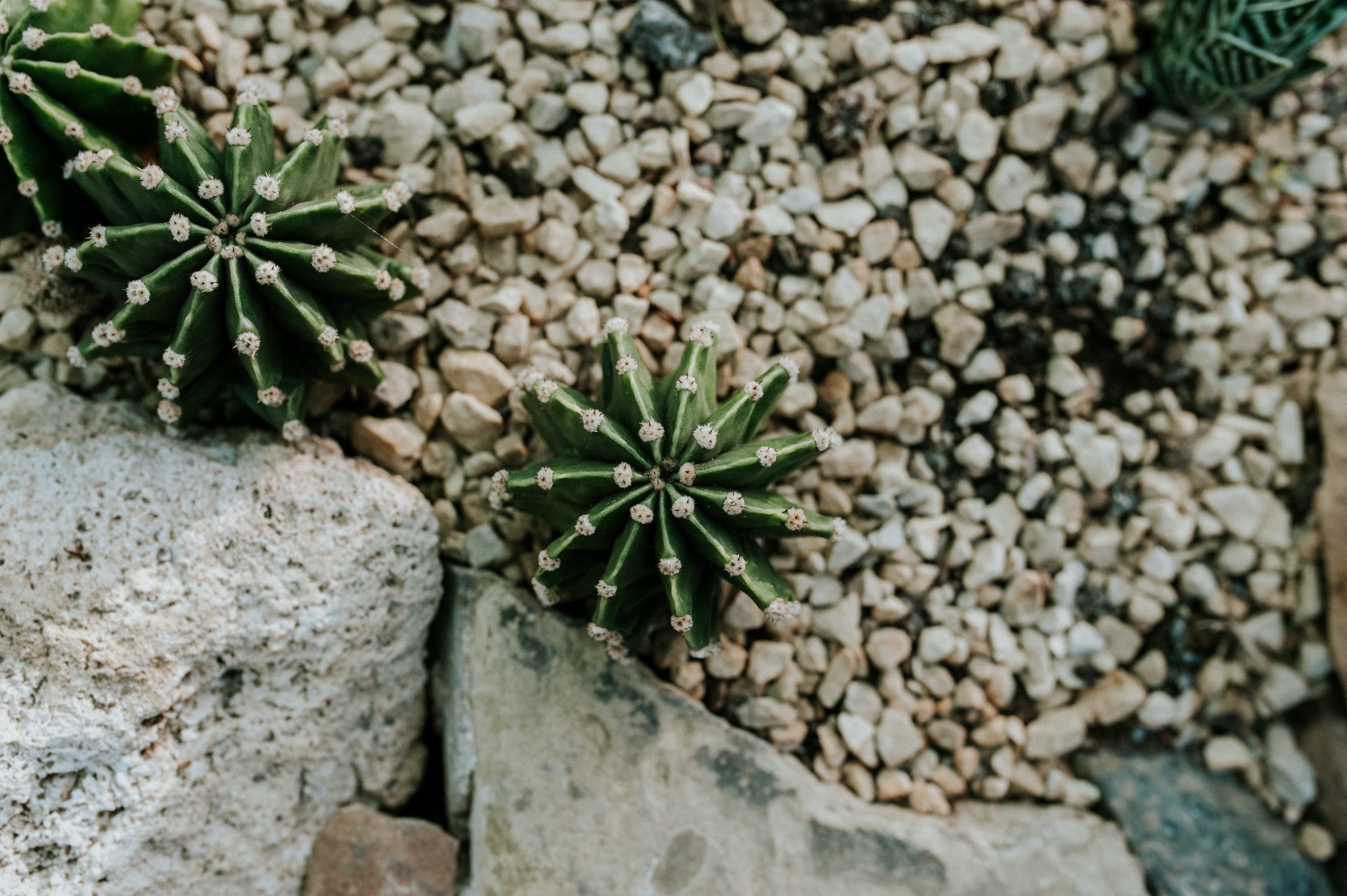 garden stone rock and pebble 4k, HD Wallpaper