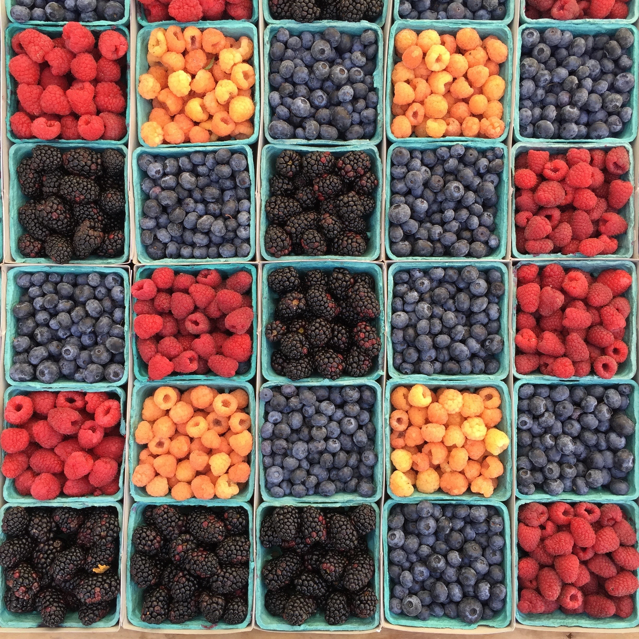 berries berry raspberry and blueberry 4k, HD Wallpaper