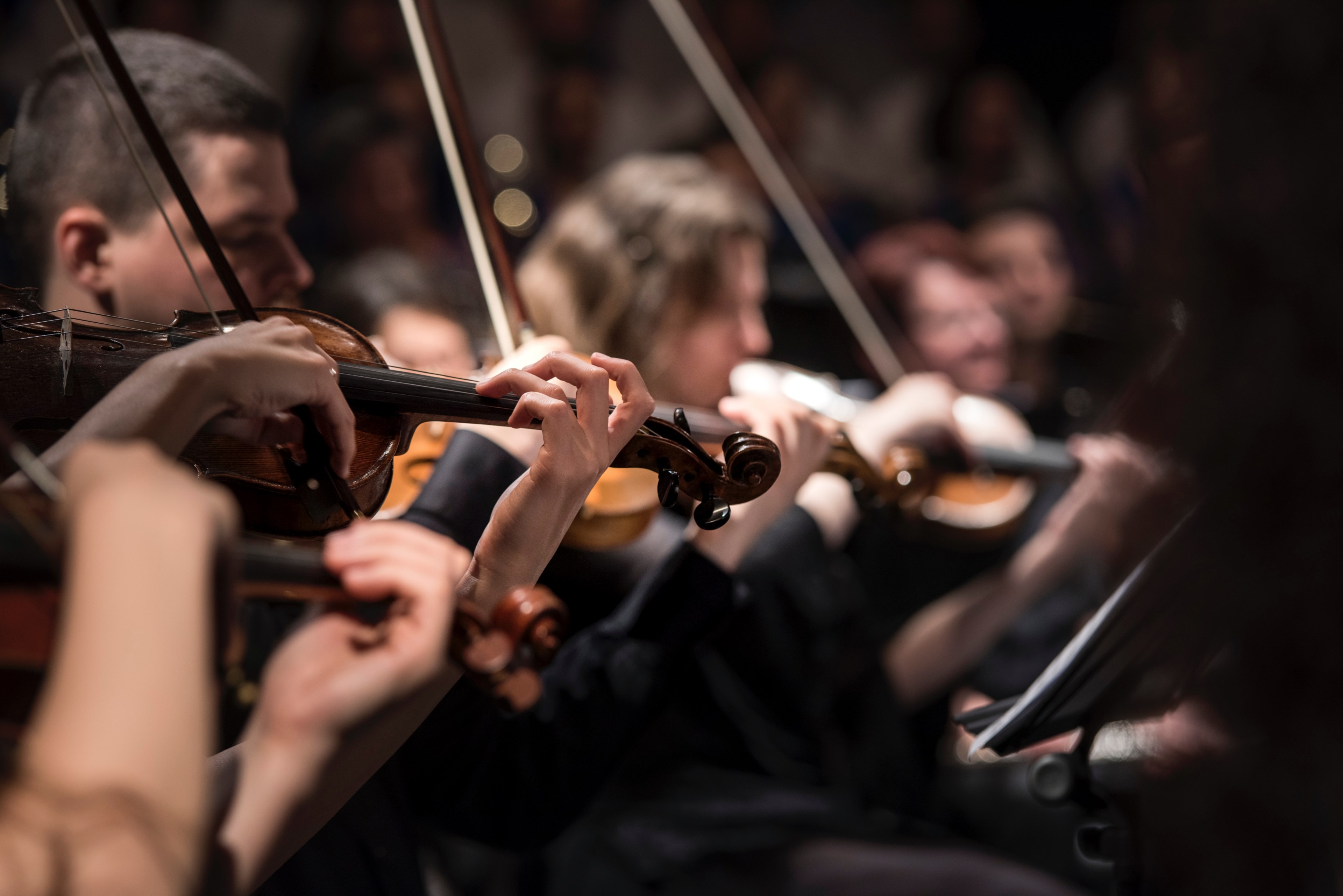 a blurry shot of group of musicians playing string instruments, string quartet in oradea 4k, HD Wallpaper