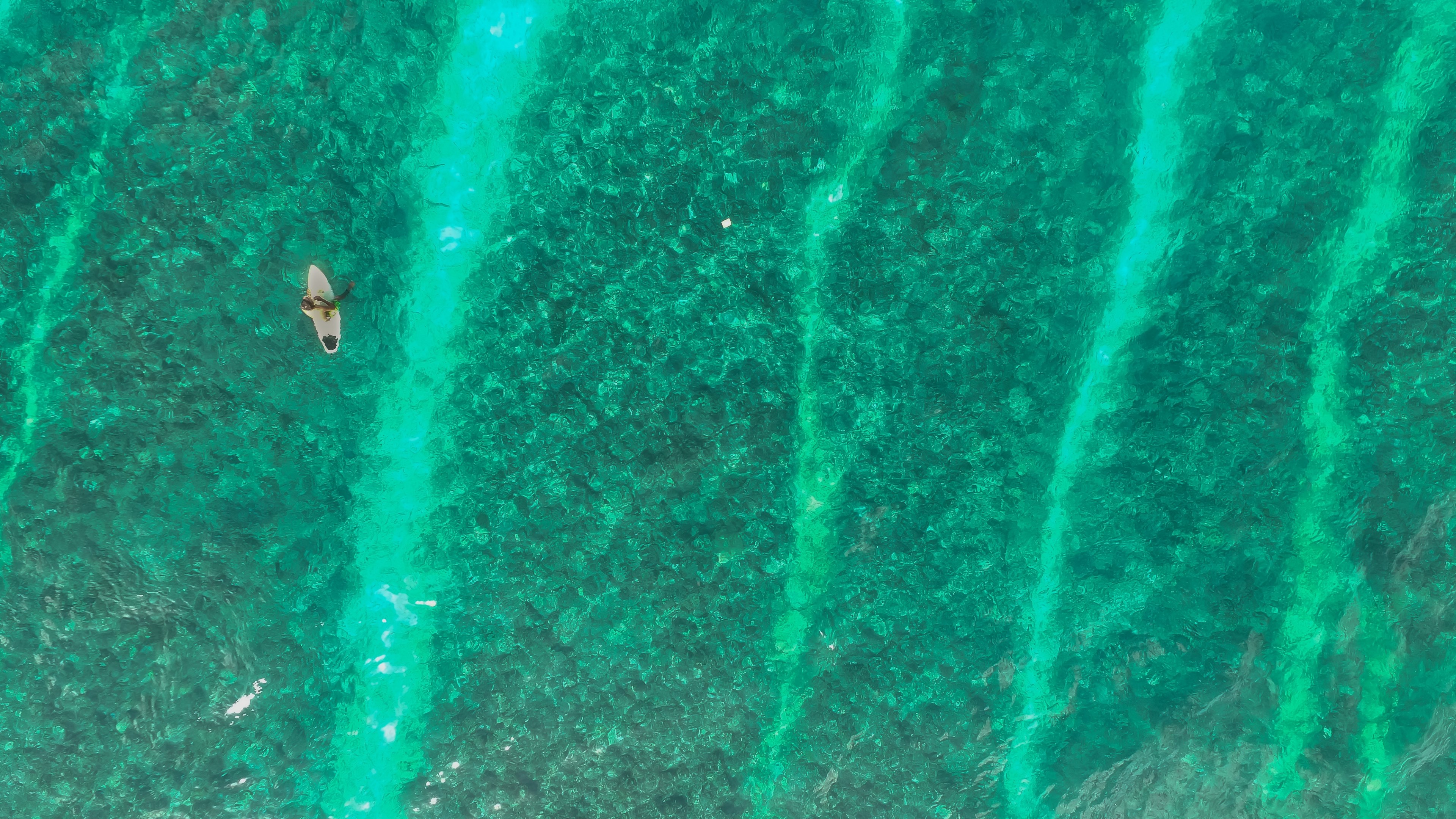 an overhead drone shot of a solitary surfer paddling the calm green waters at male maldives, surfer in the calm sea 4k, HD Wallpaper