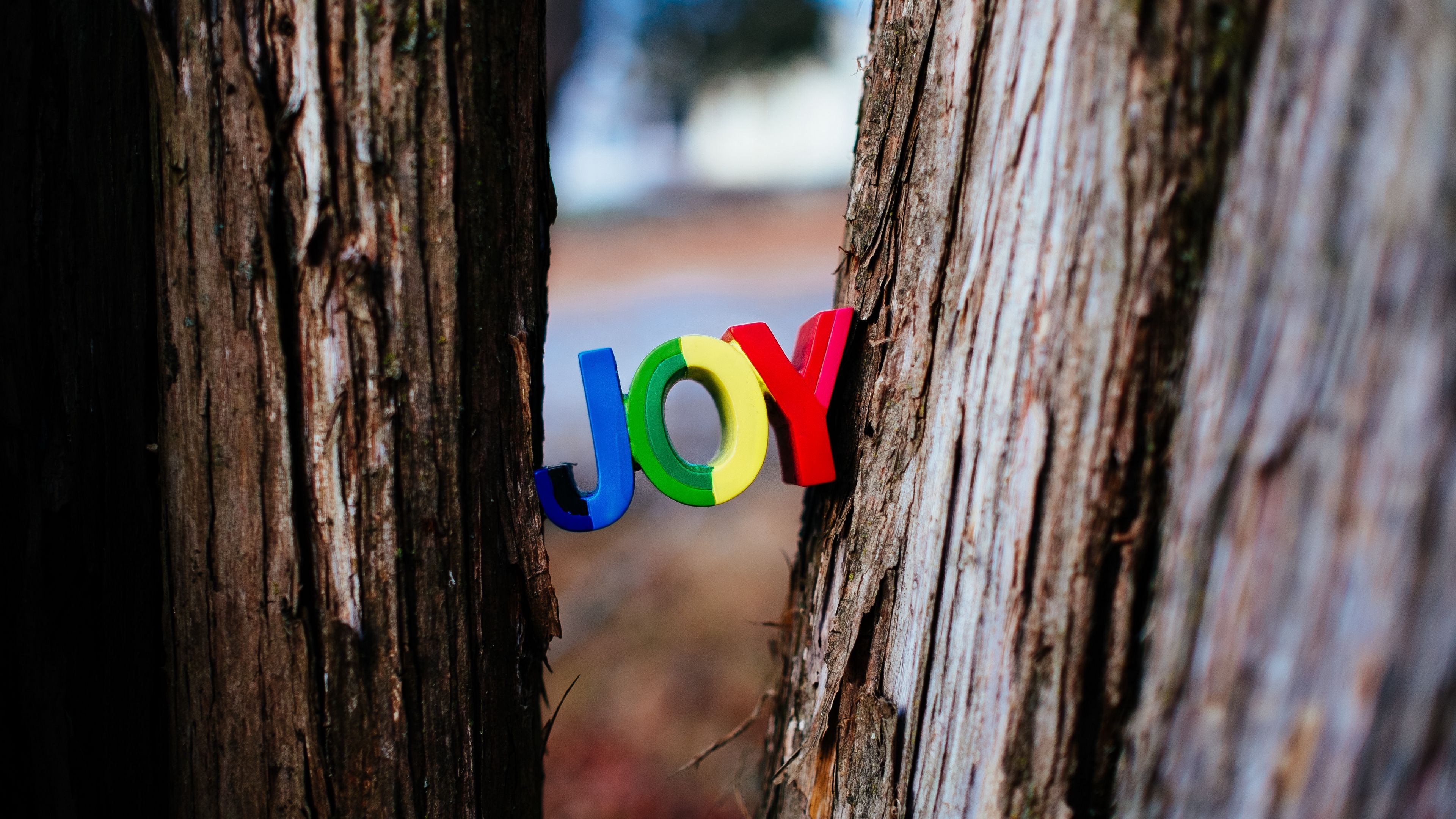 inscription, words, joy, trees, 4k, HD Wallpaper