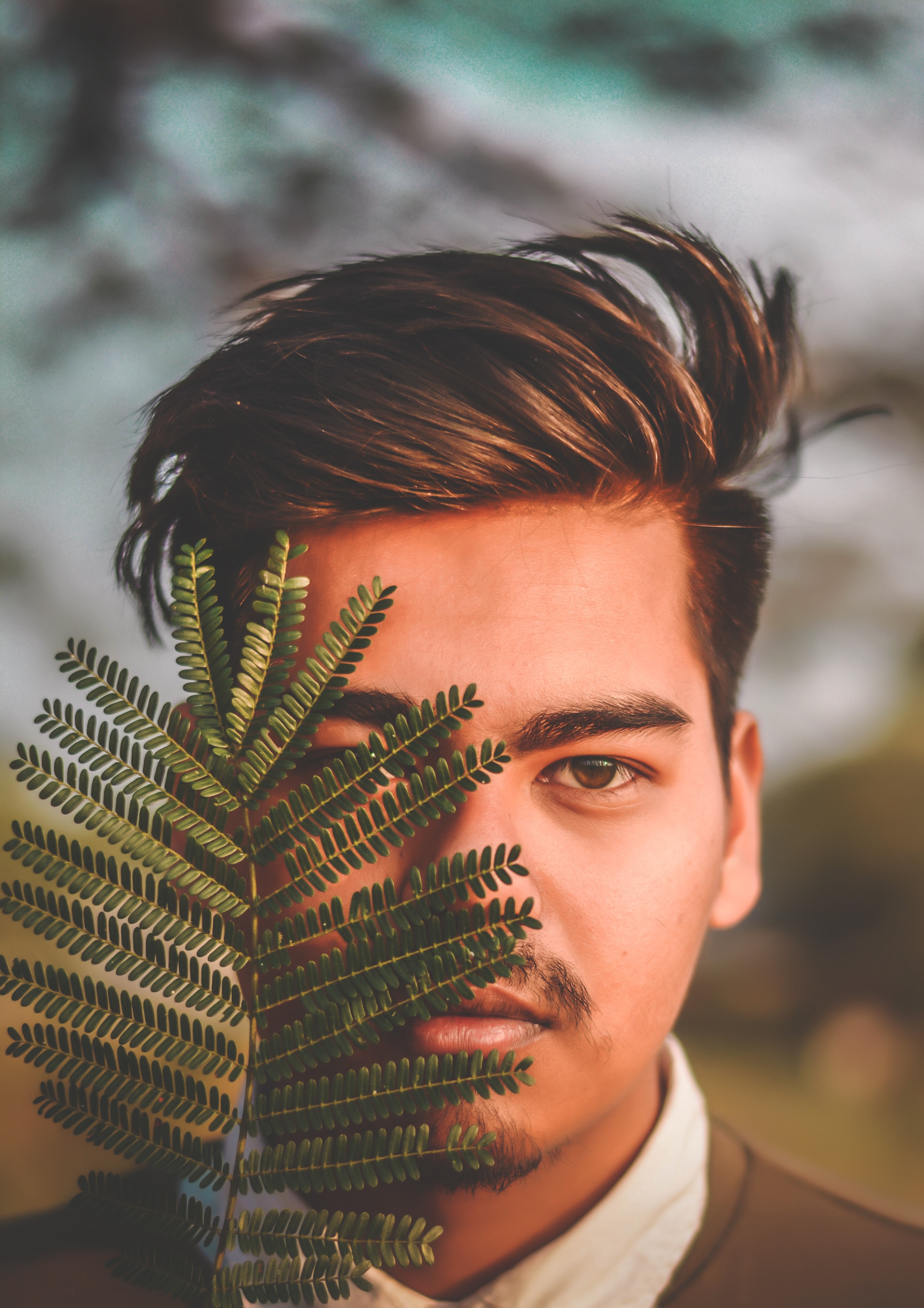lost in the wilderness 4k, Phone HD Wallpaper