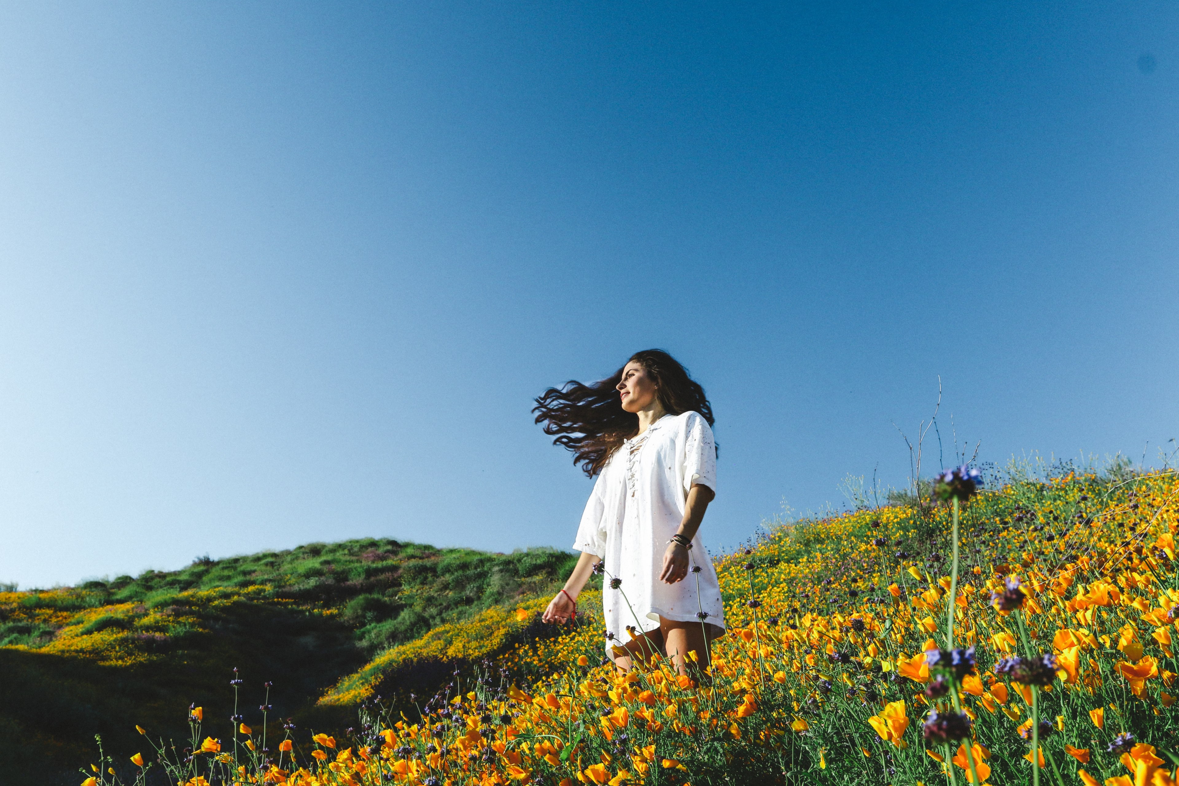 a dark haired woman in a white dress in a sunny meadow full of orange flowers, woman in a sunlit meadow 4k, HD Wallpaper